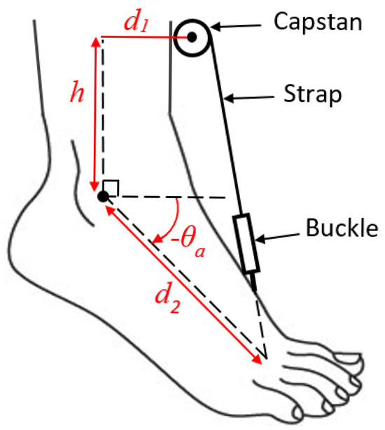 Biomechanics 05 00051 g003