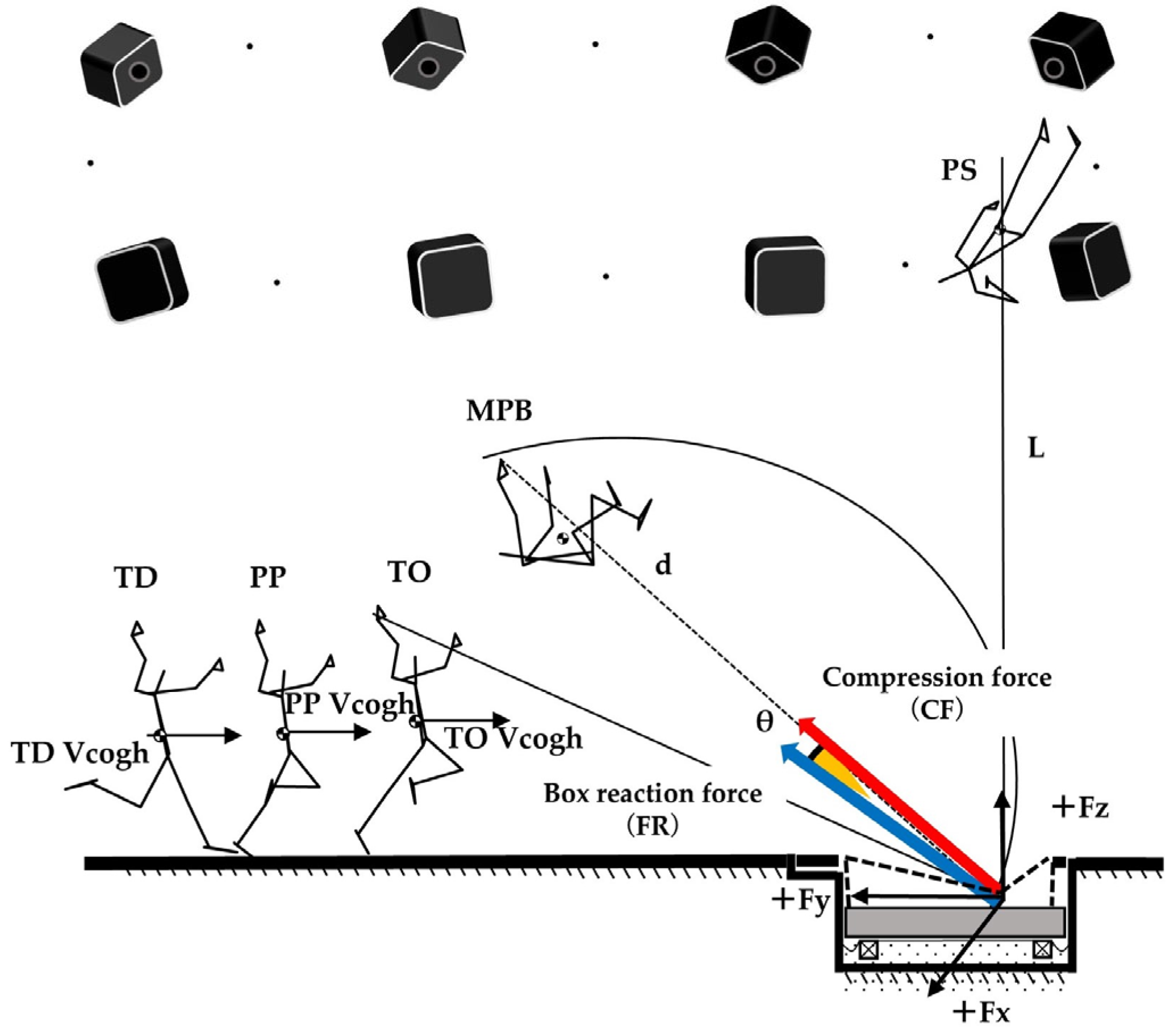 Biomechanics 06 00028 g002