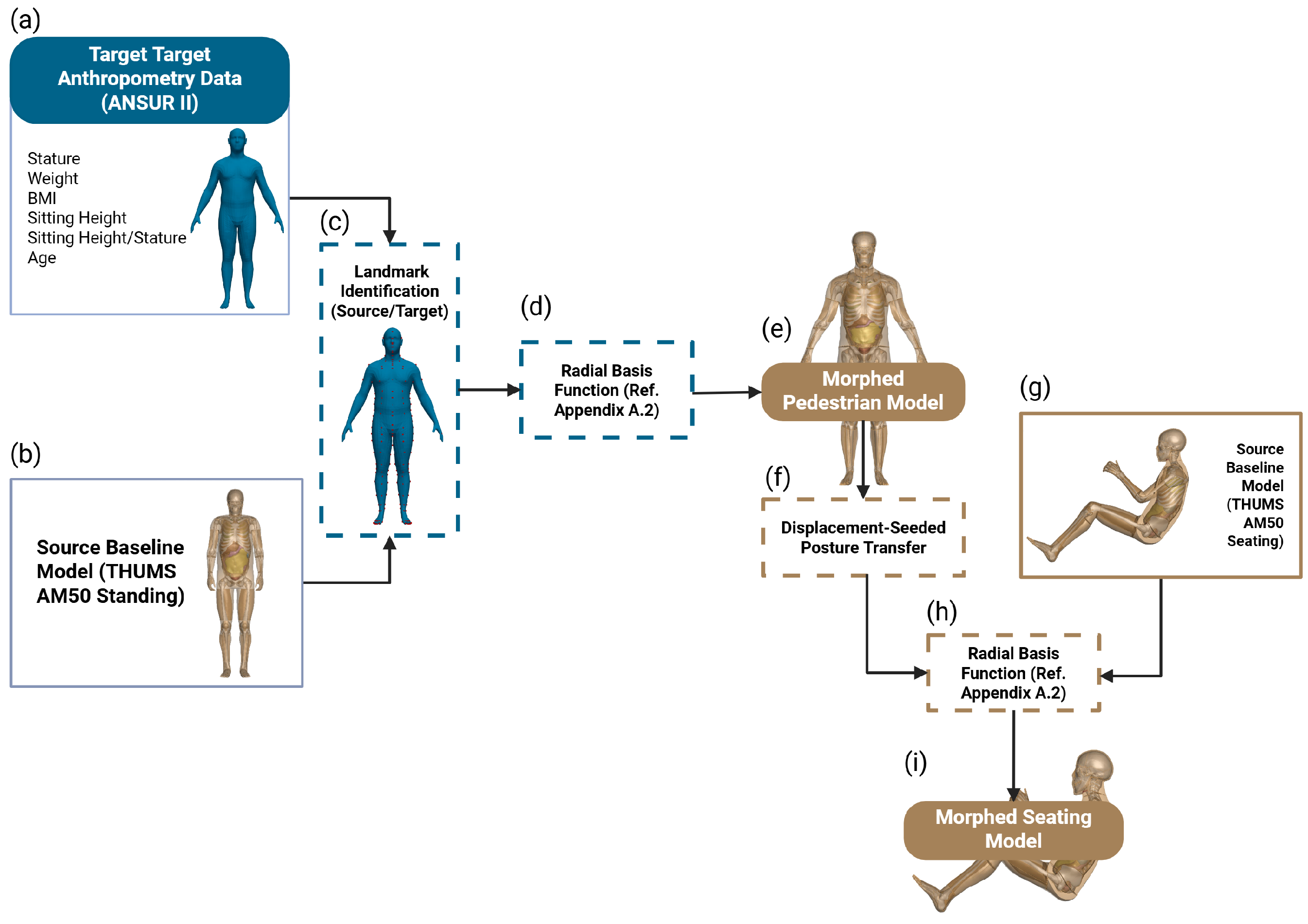 Biomechanics 06 00037 g001