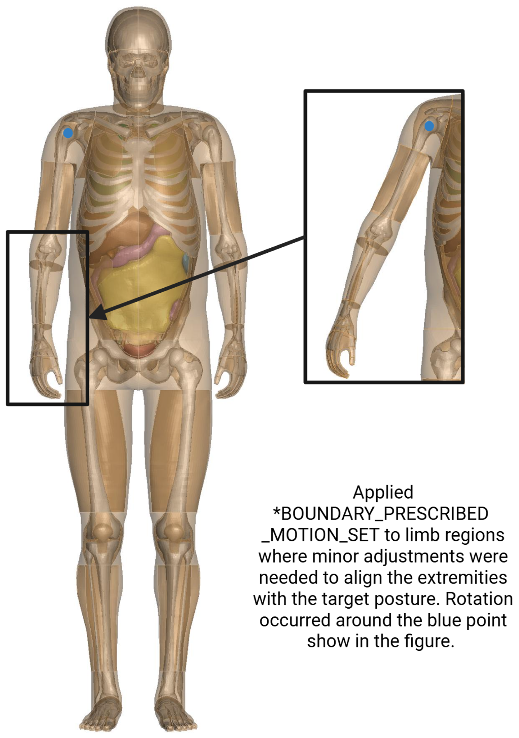 Biomechanics 06 00037 g002