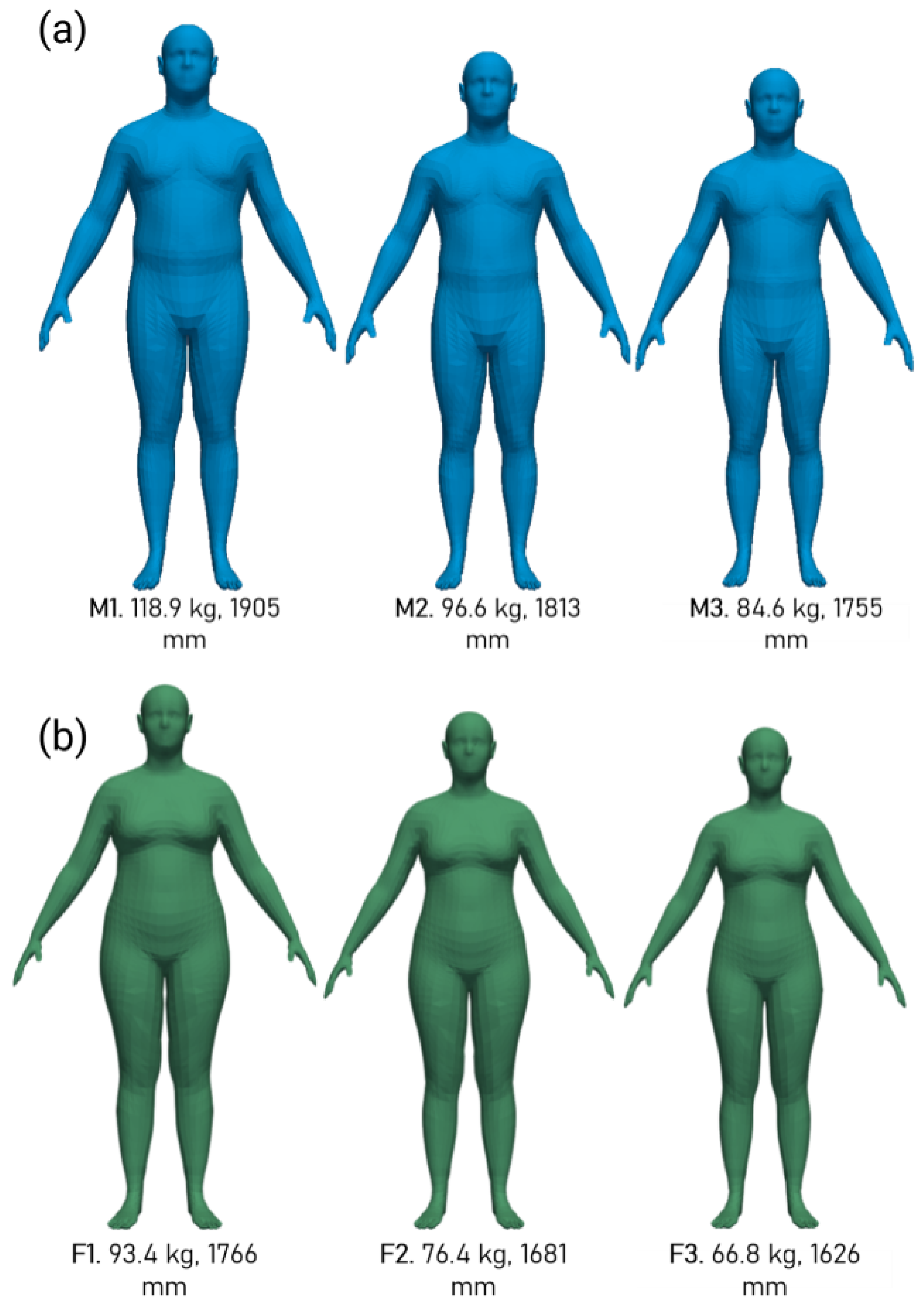 Biomechanics 06 00037 g003