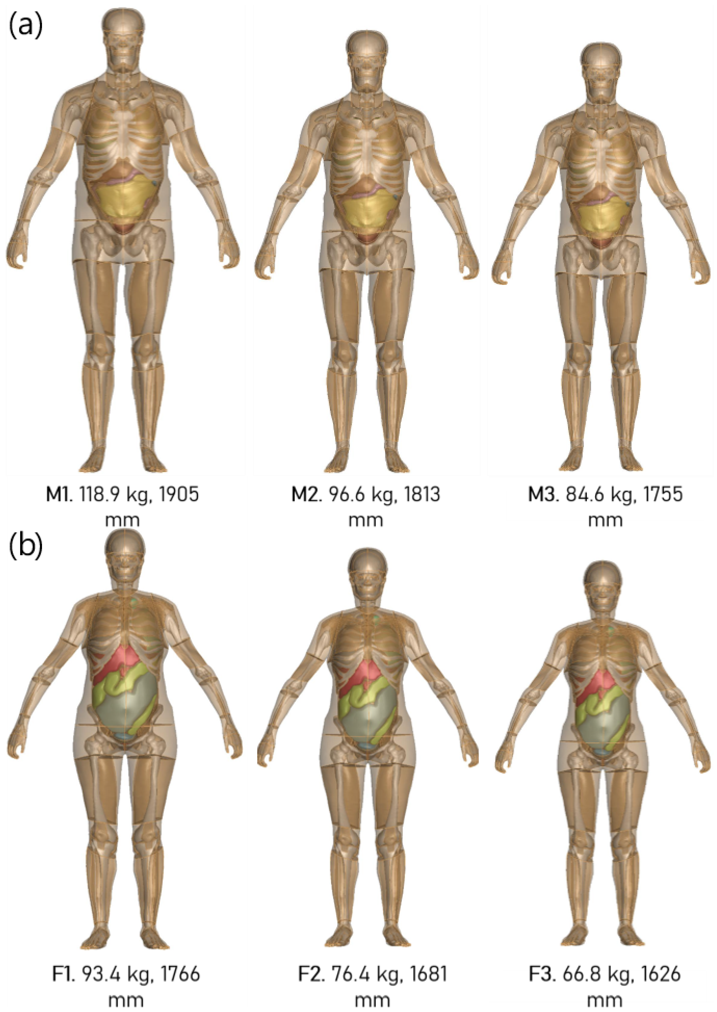 Biomechanics 06 00037 g004
