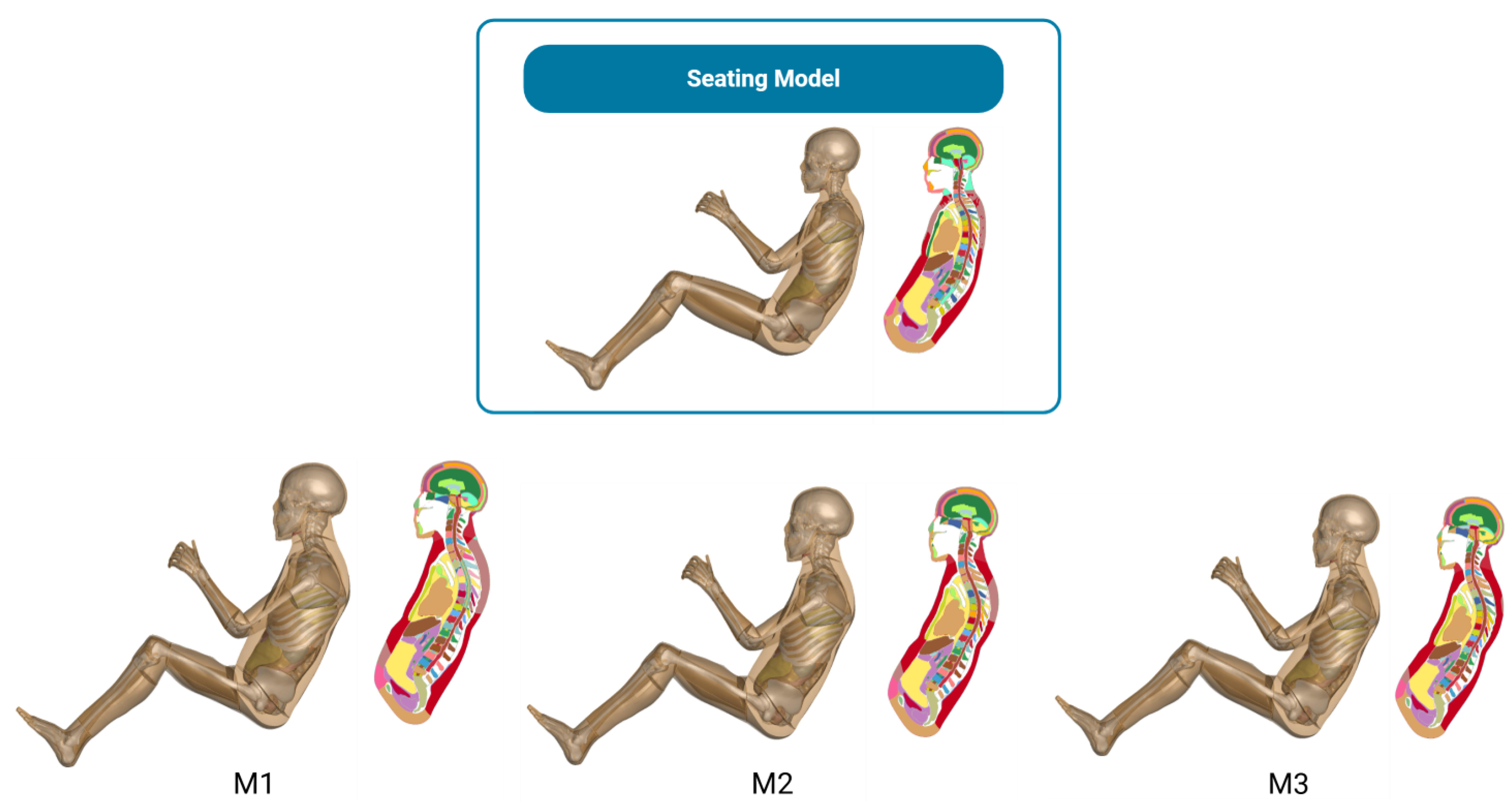 Biomechanics 06 00037 g013