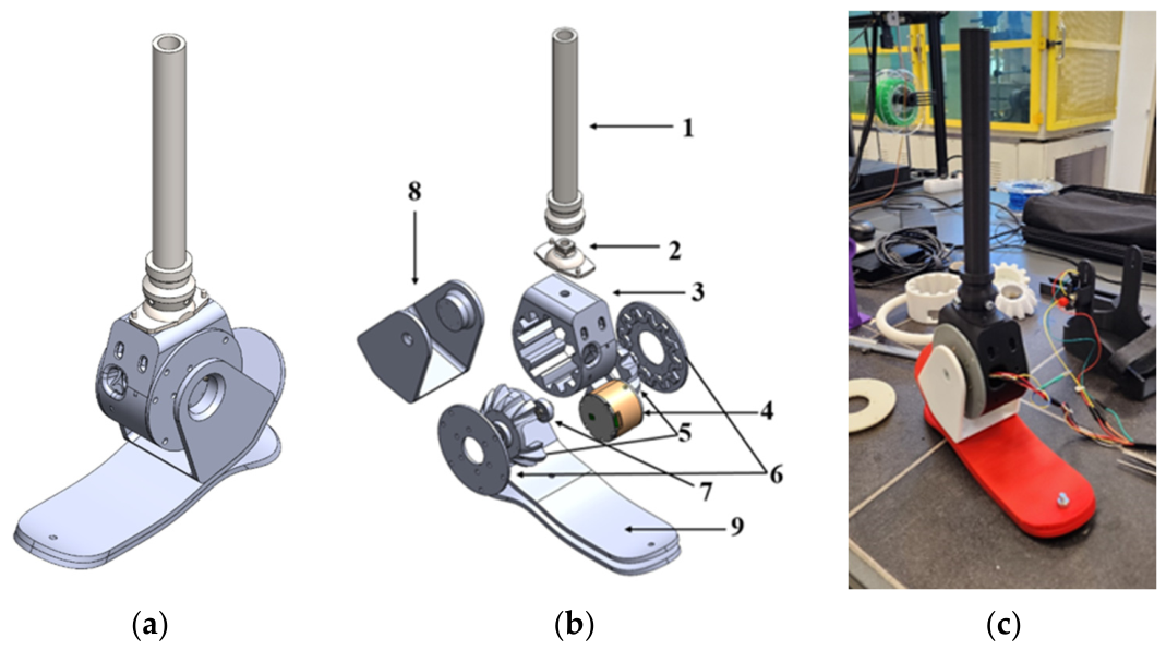 Biomechanics 06 00072 g001