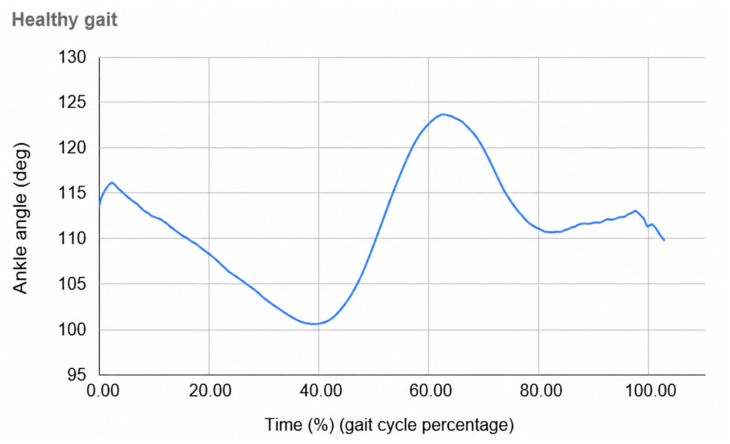 Biomechanics 06 00072 g009