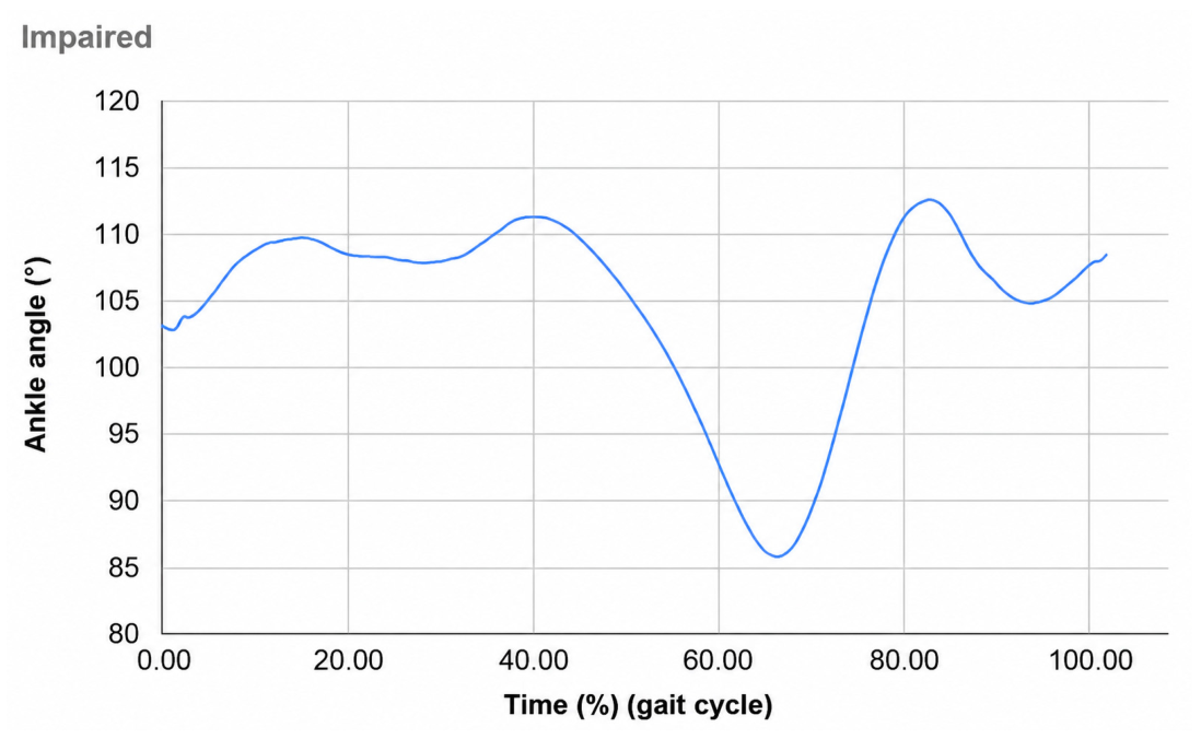 Biomechanics 06 00072 g012