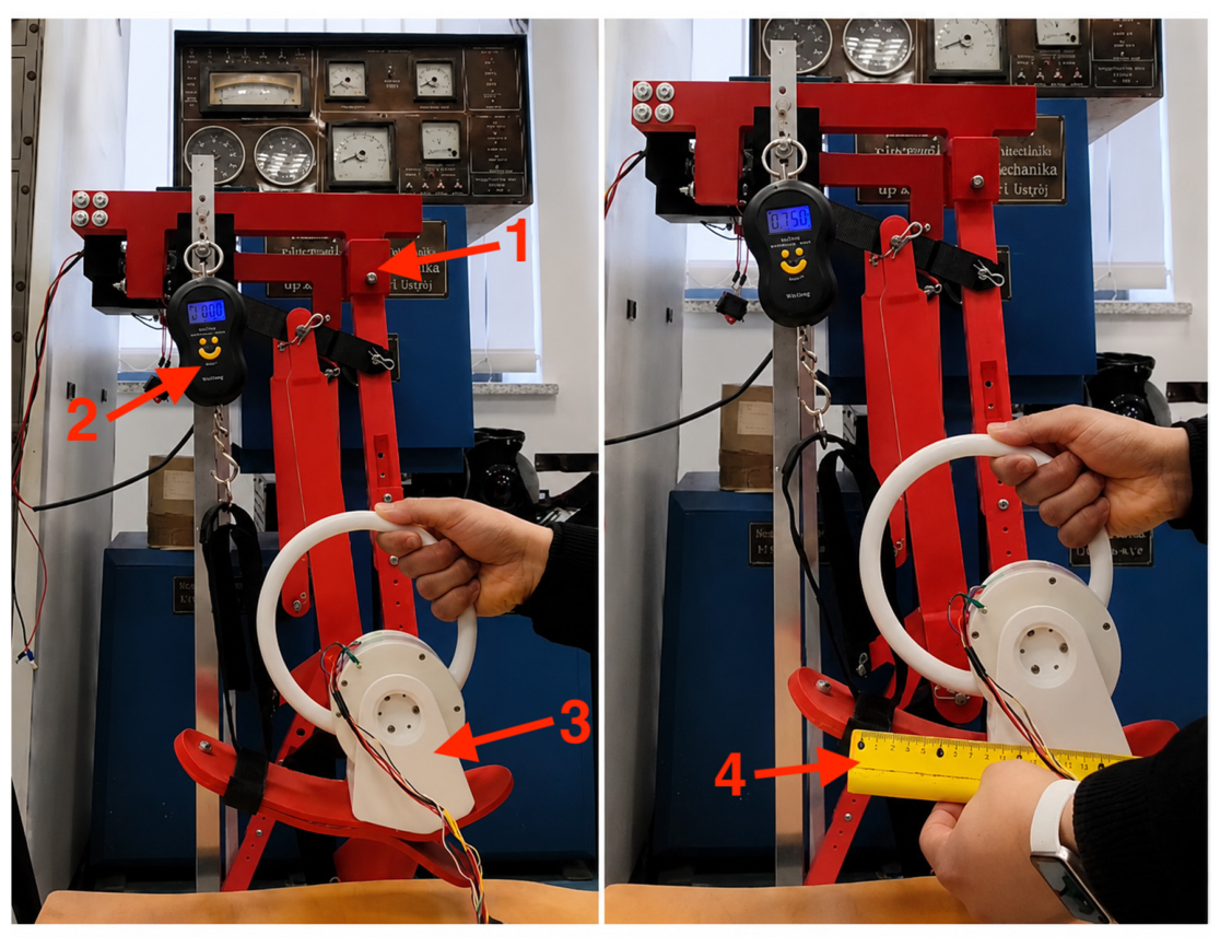 Biomechanics 06 00072 g016