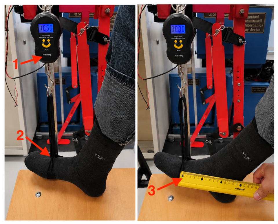 Biomechanics 06 00072 g017