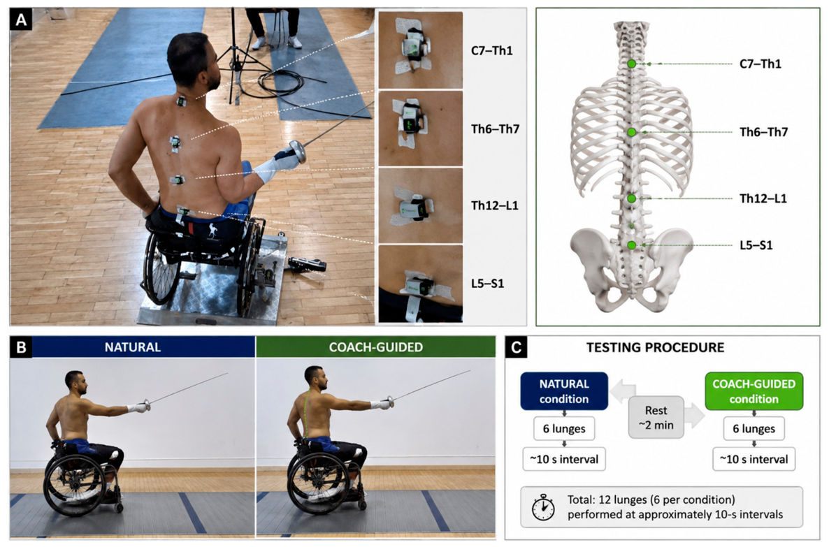 Biomechanics 06 00092 g001
