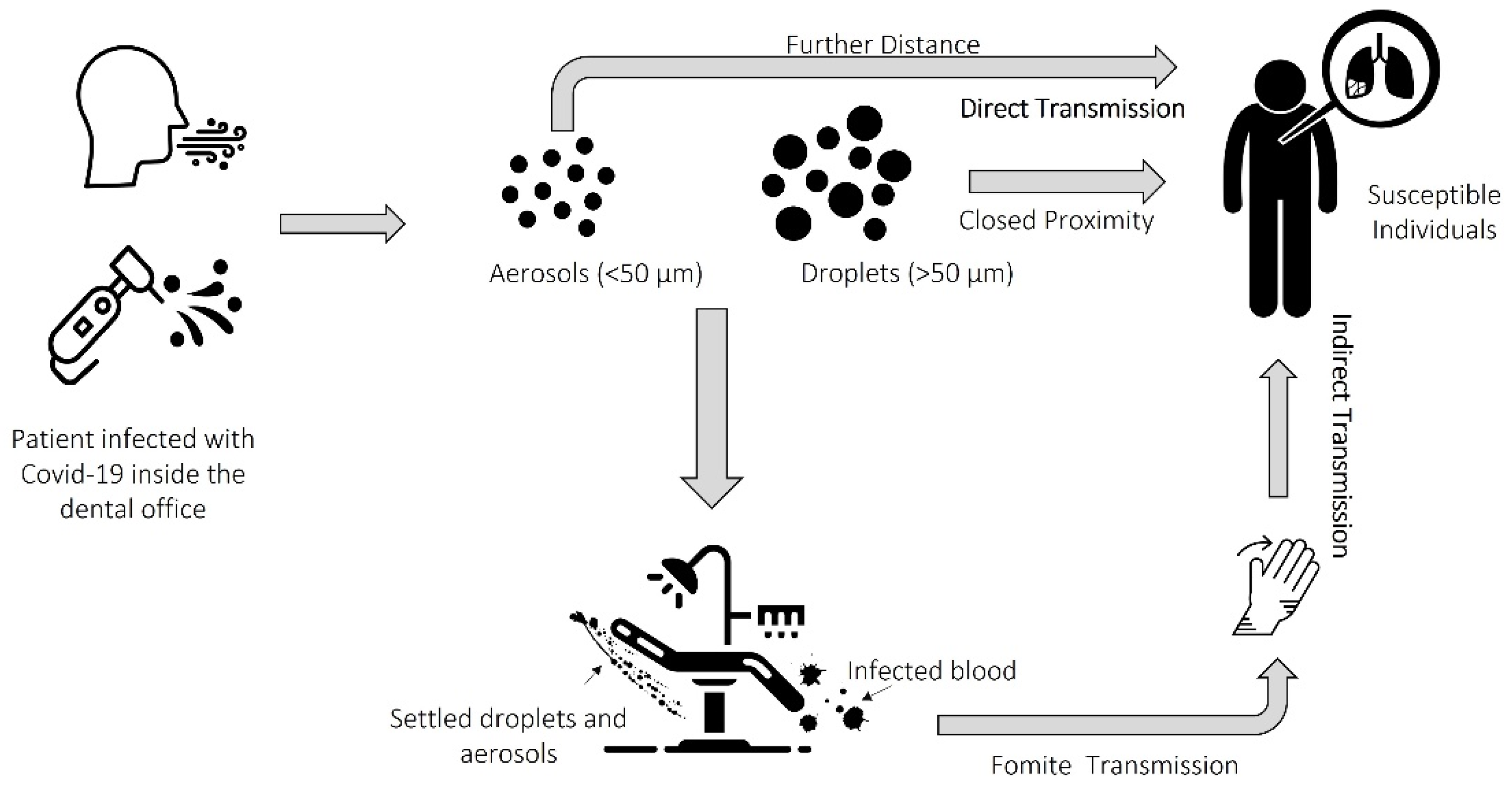 Biomed 02 00003 g002