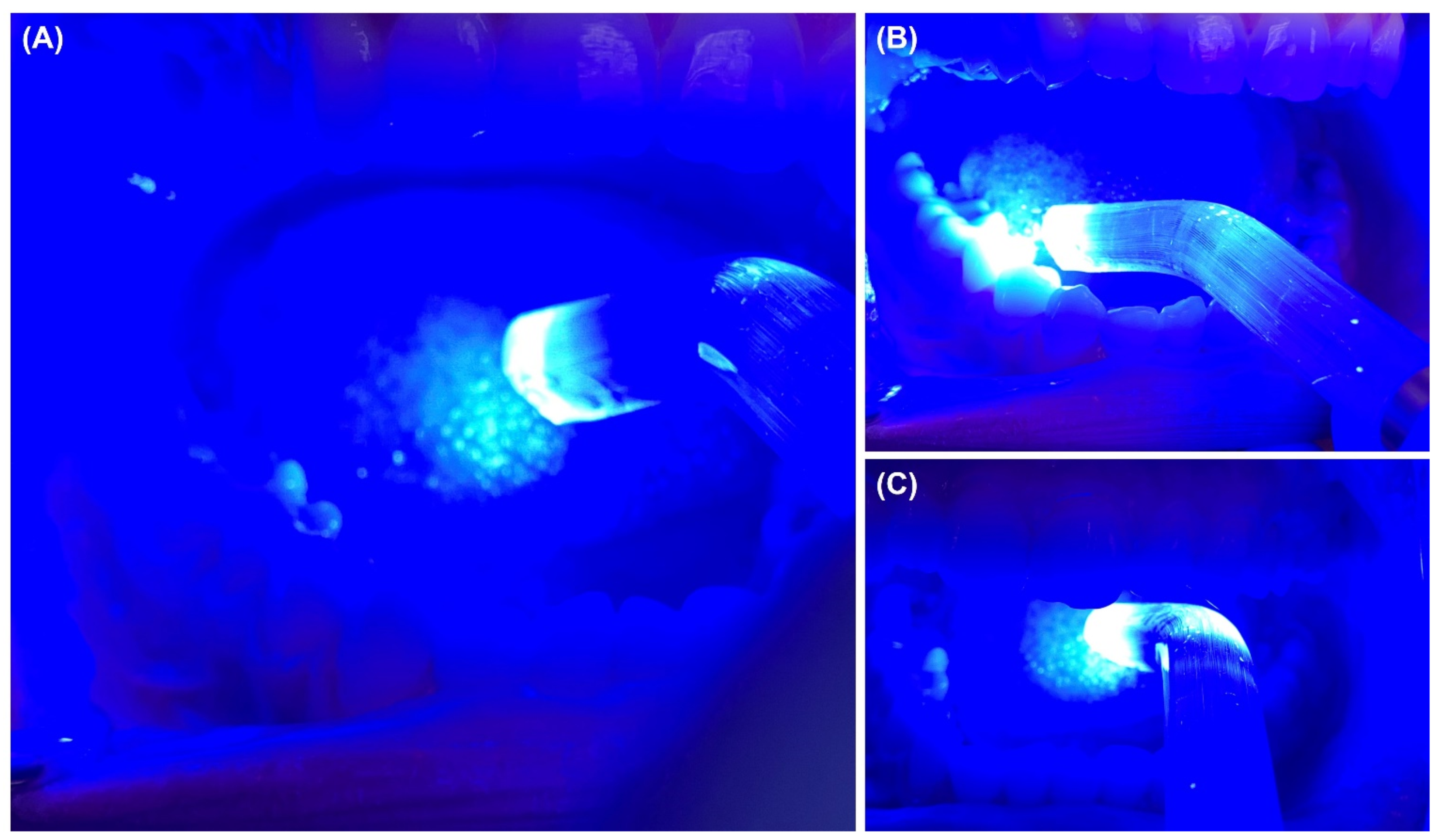 Biomed 02 00003 g003
