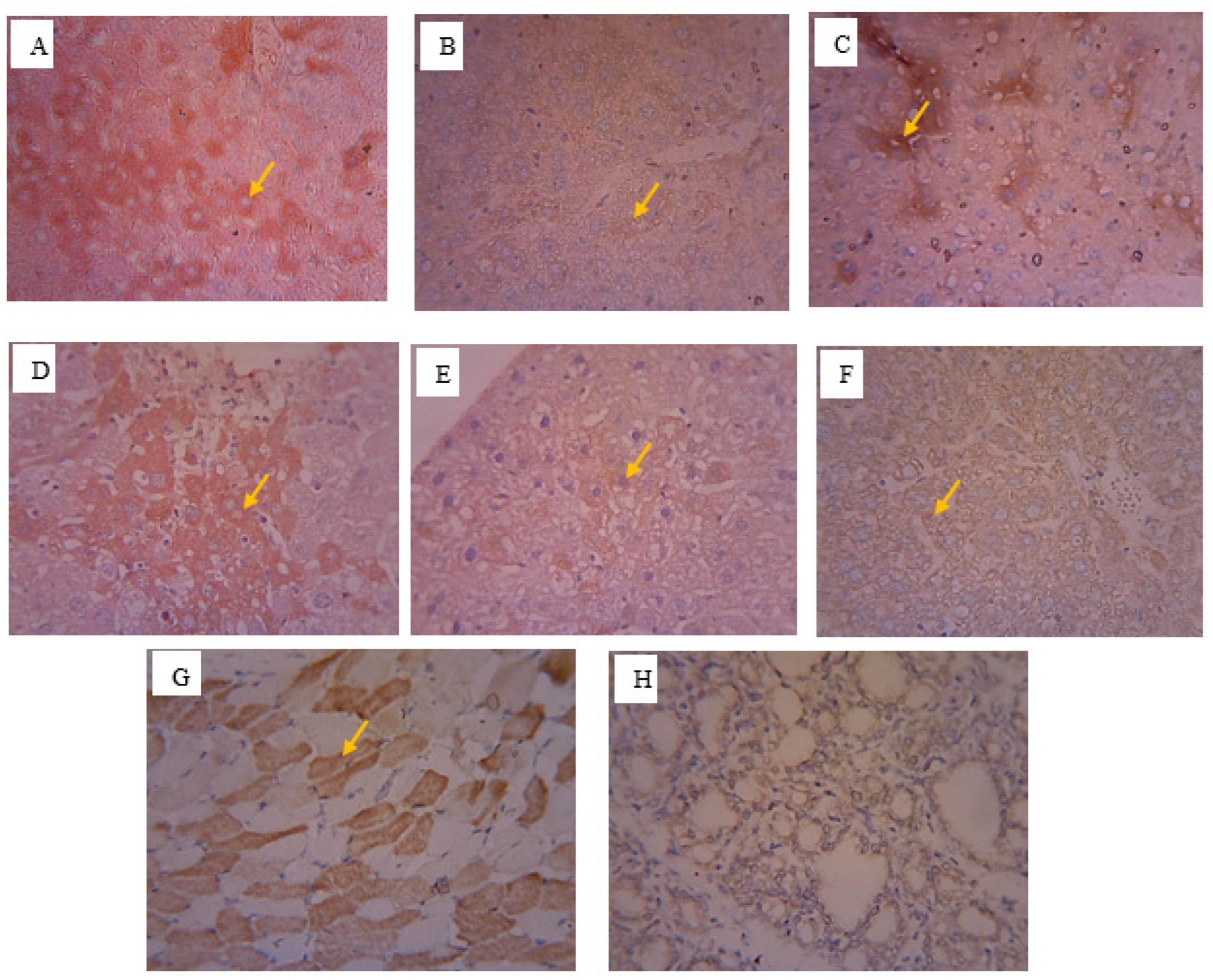 Biomed 03 00009 g003