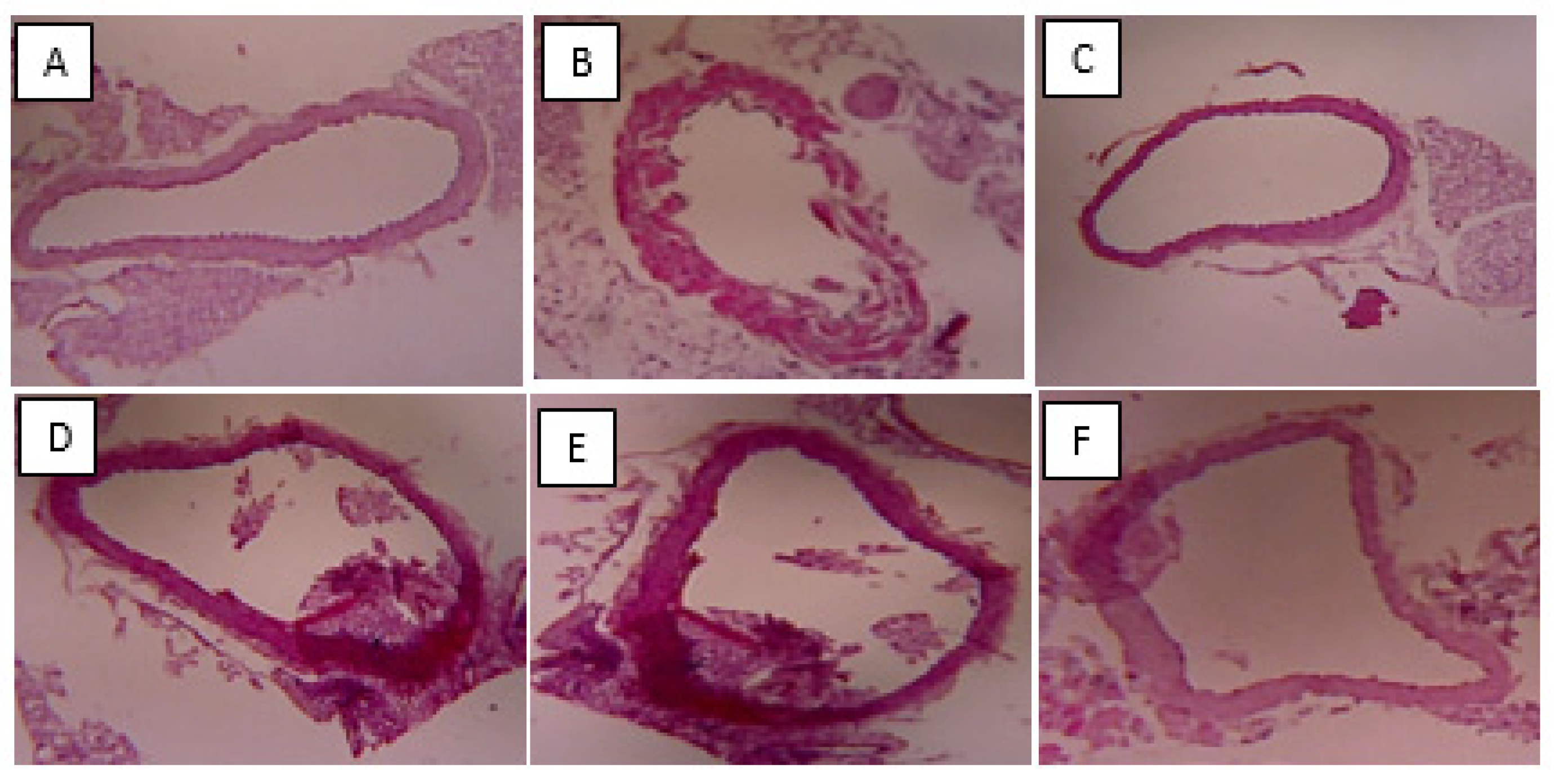 Biomed 03 00009 g006