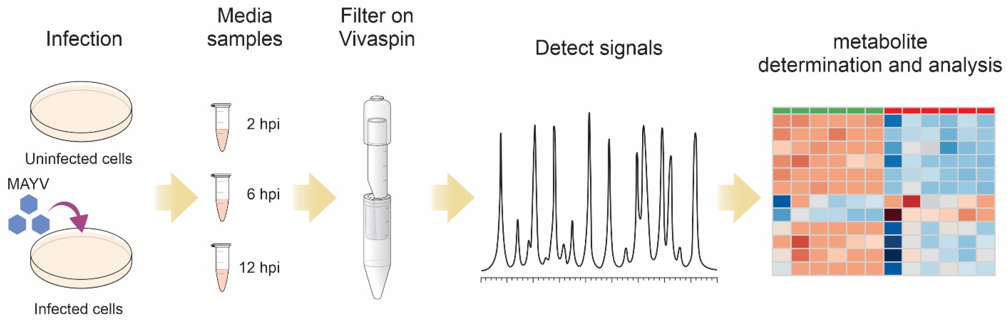 Biomed 03 00013 g001