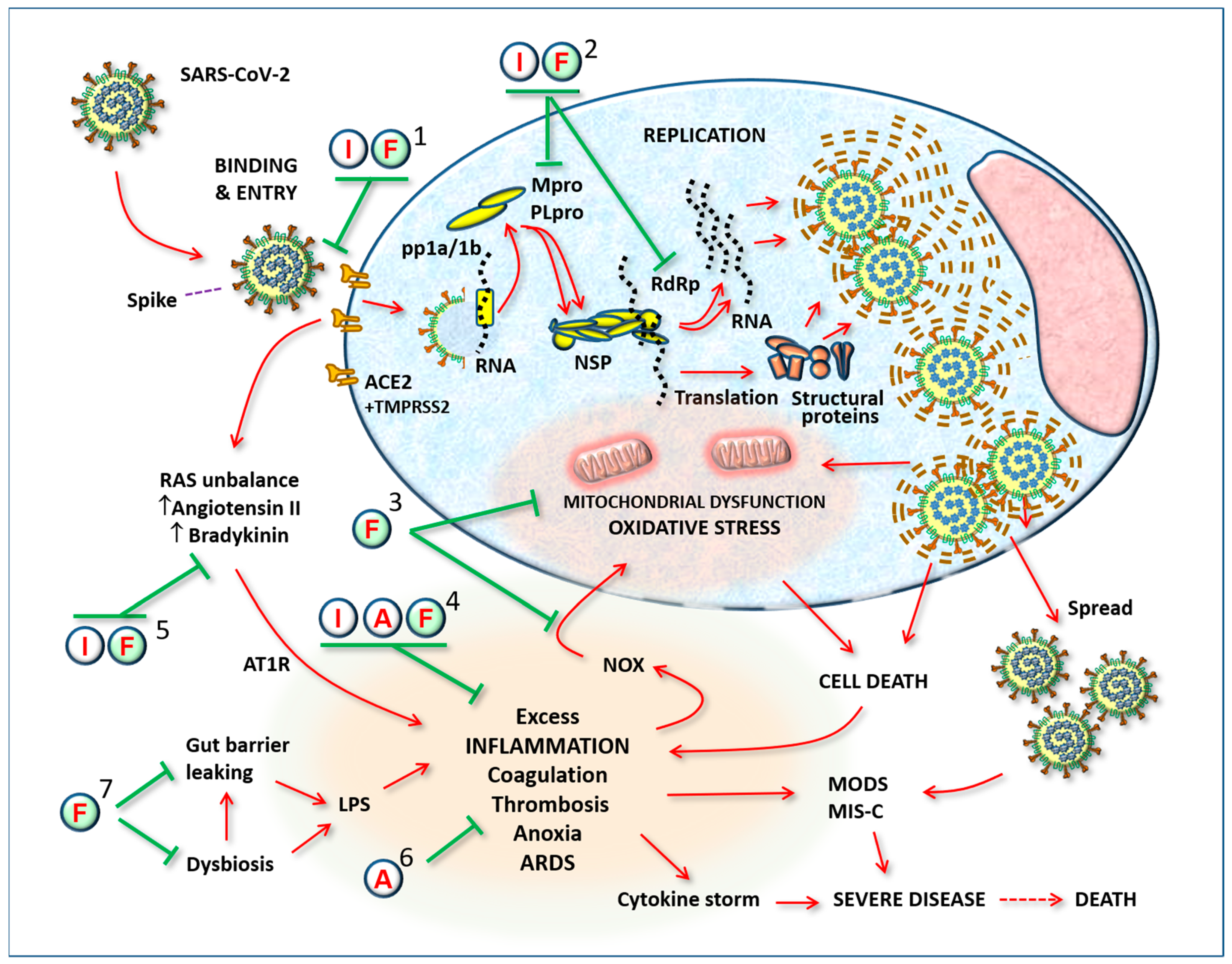 Biomed 03 00015 g001