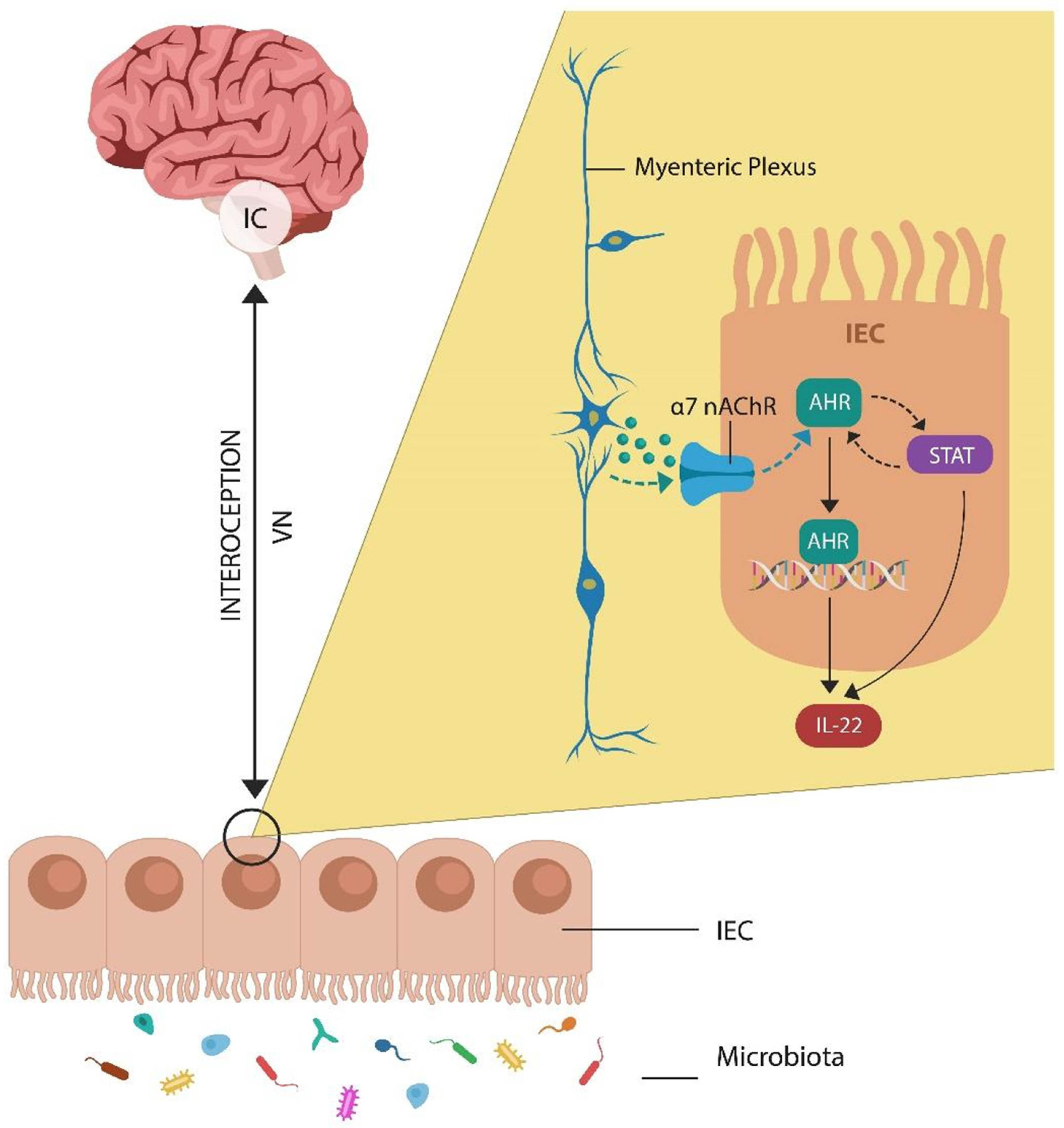 Biomed 03 00039 g001
