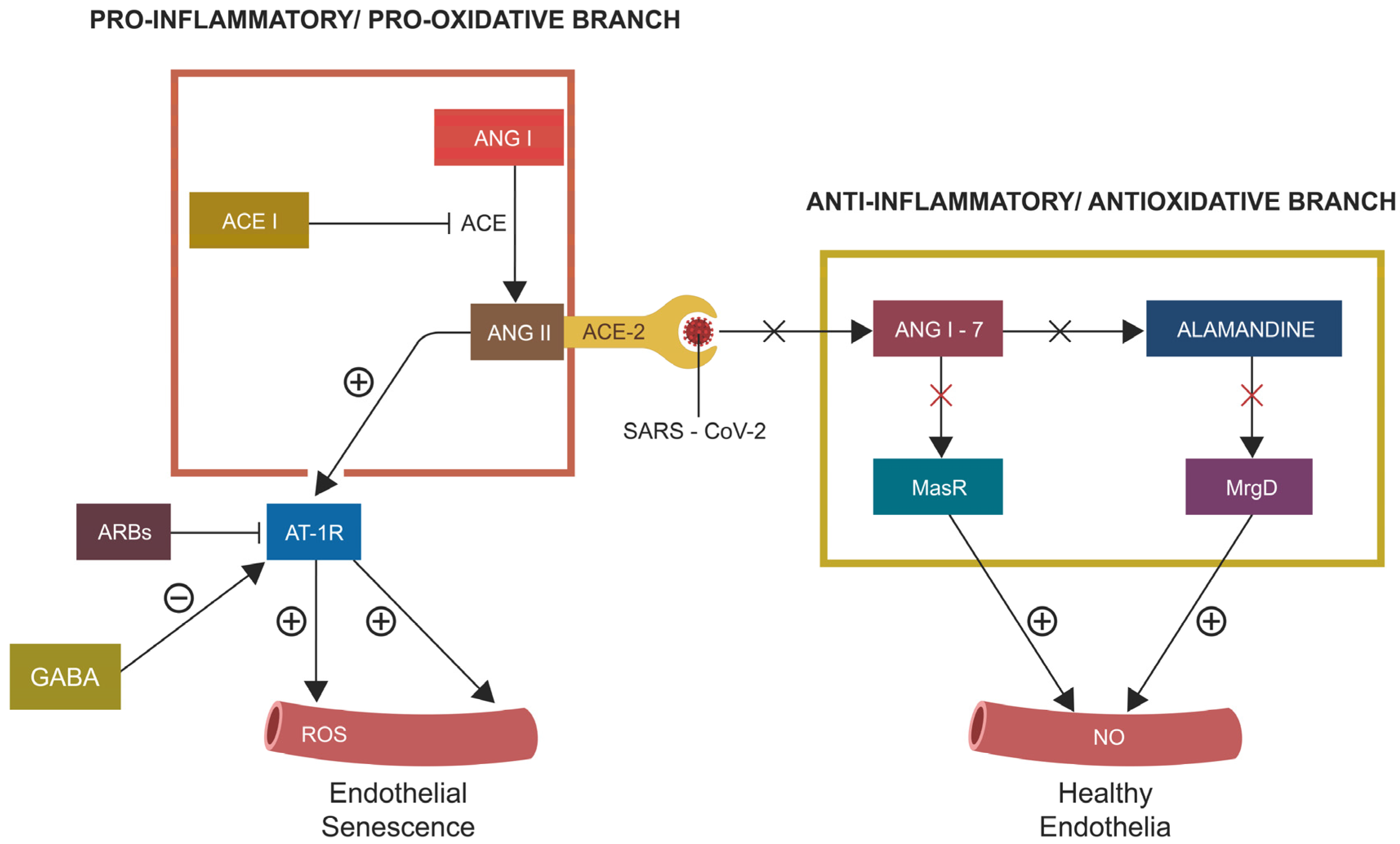 Biomed 03 00039 g002