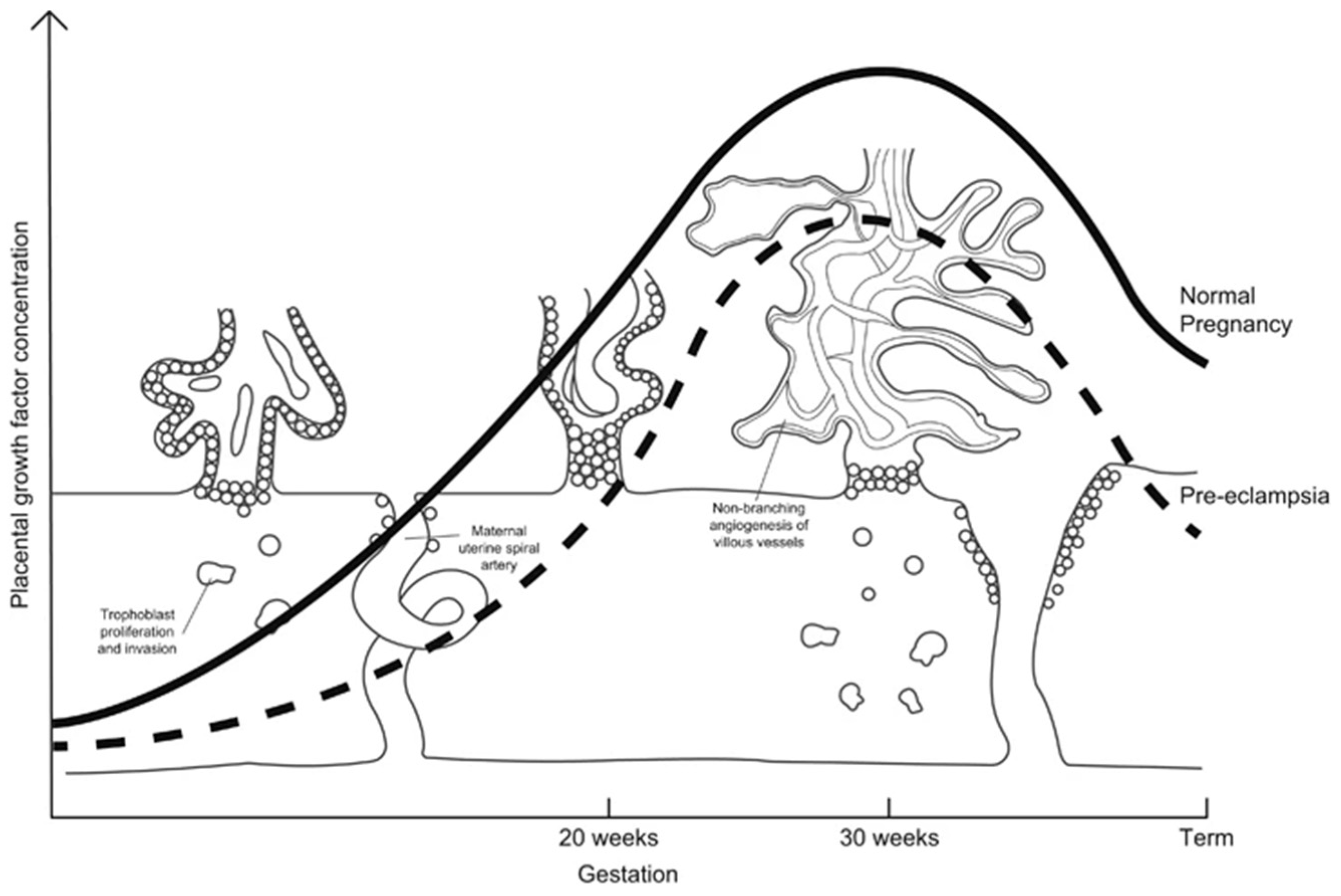 Biomed 04 00010 g001
