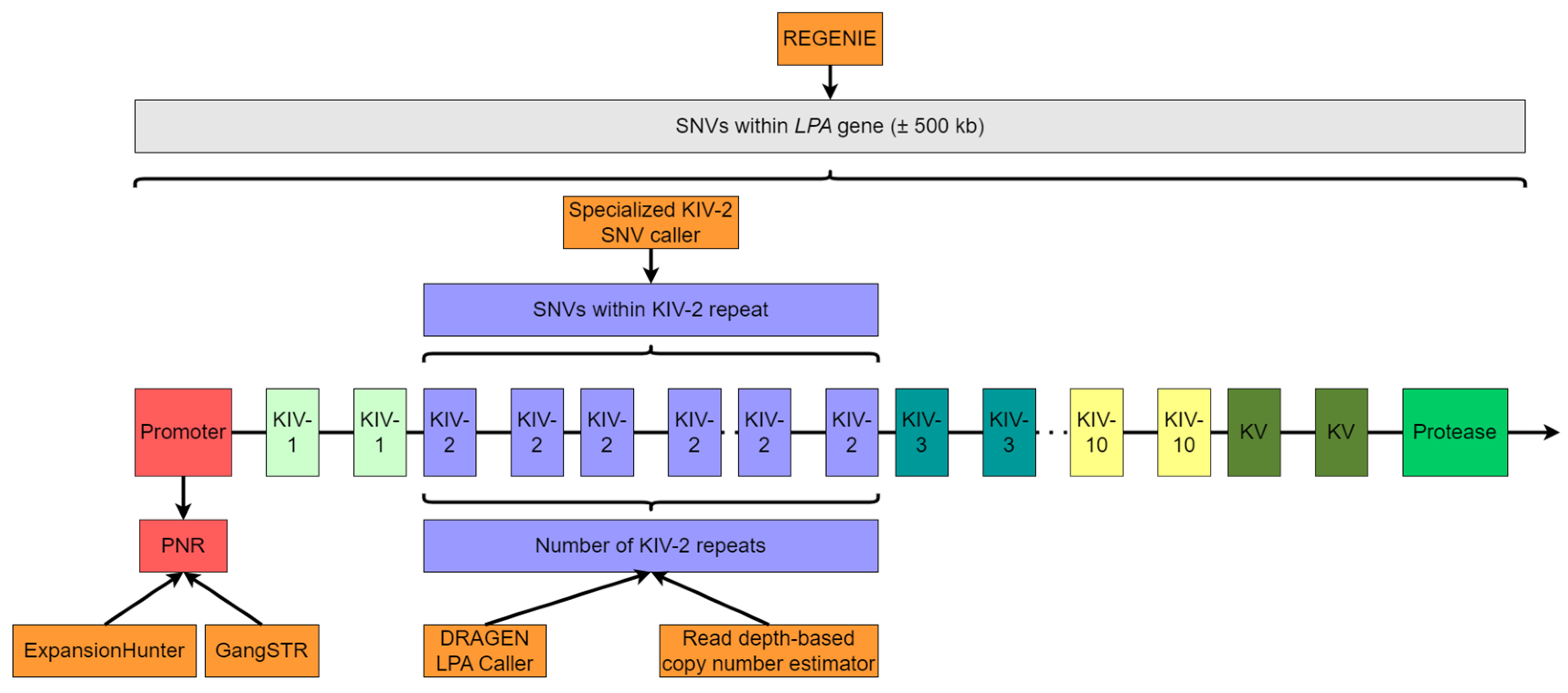 Biomed 04 00013 g001