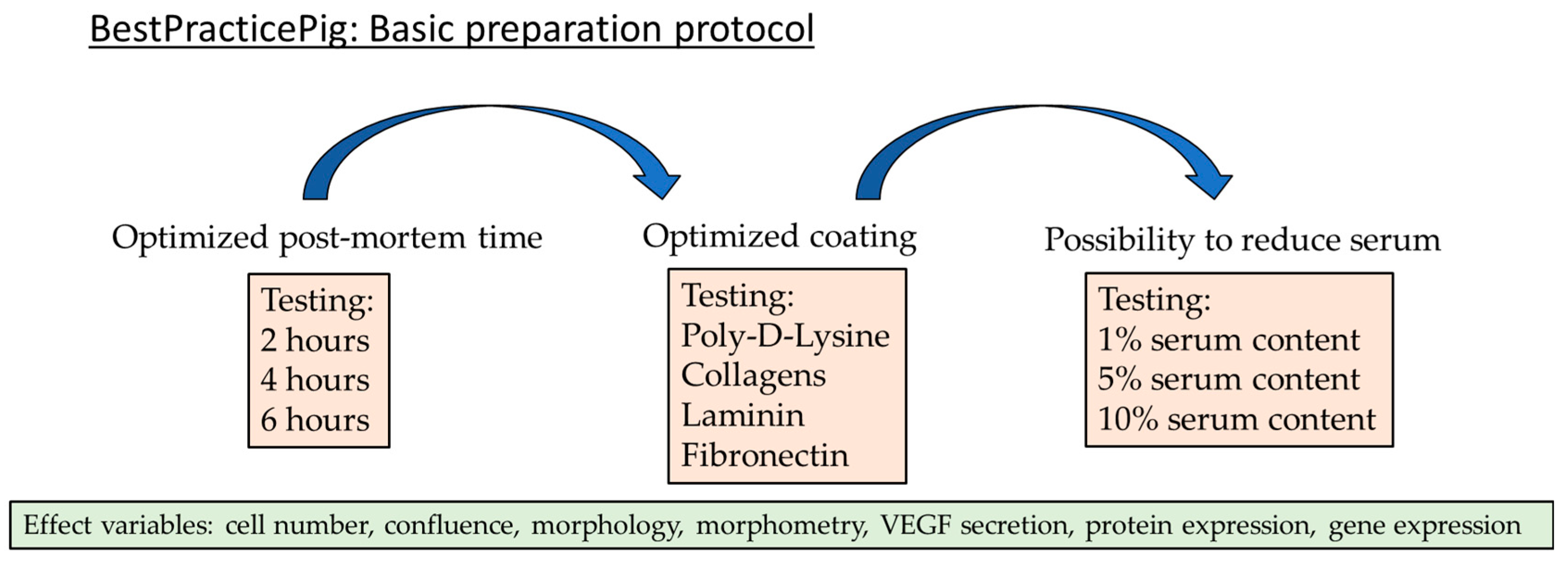 Biomed 05 00007 g001
