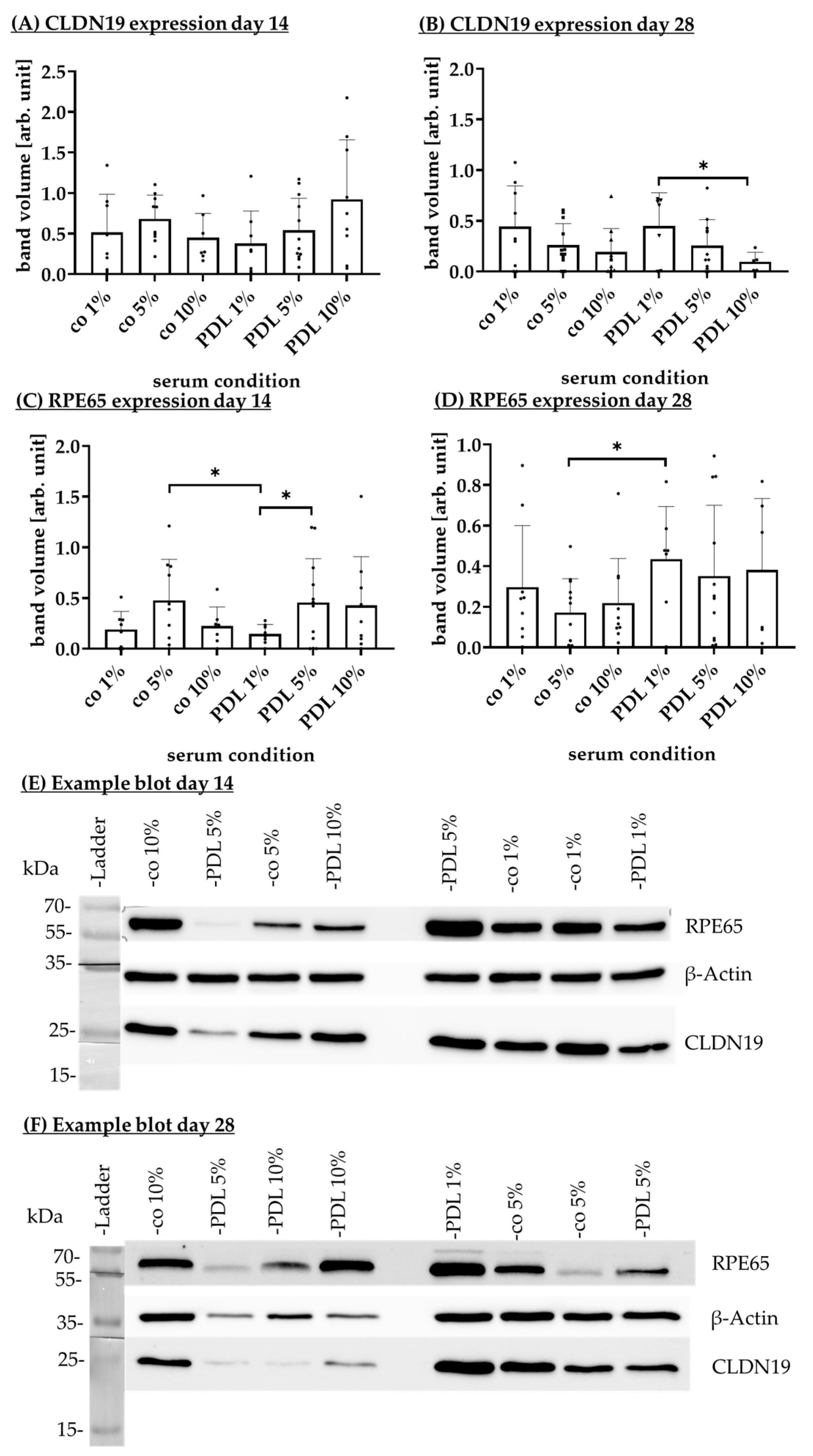 Biomed 05 00007 g018