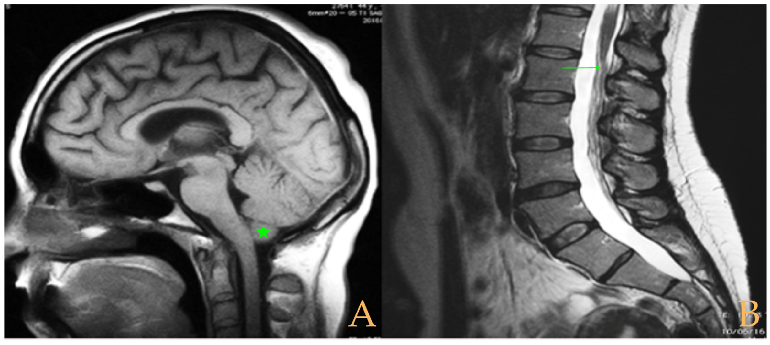 Biomed 05 00012 g005