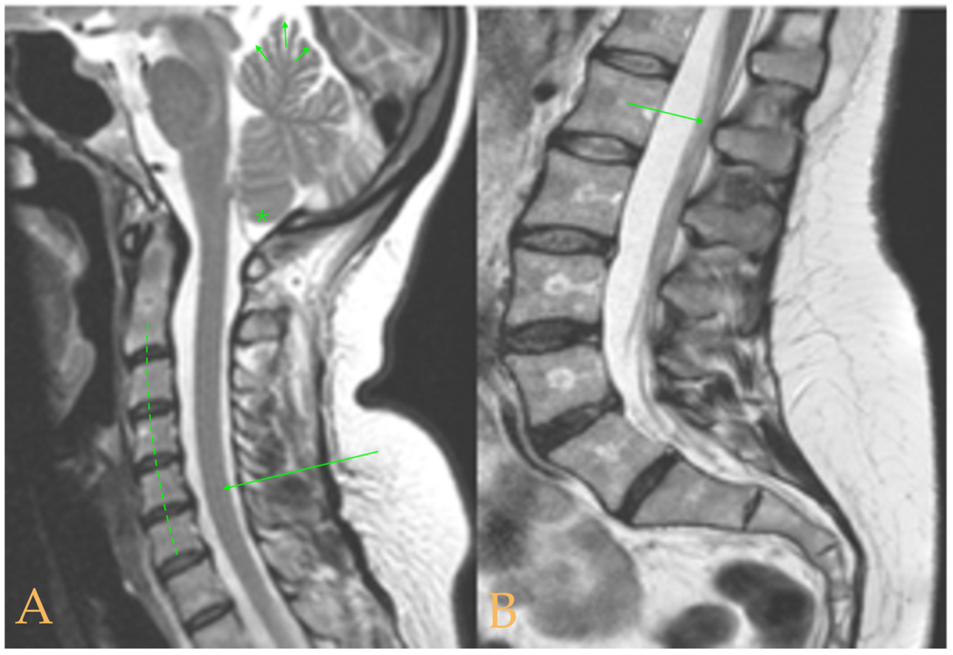 Biomed 05 00012 g006