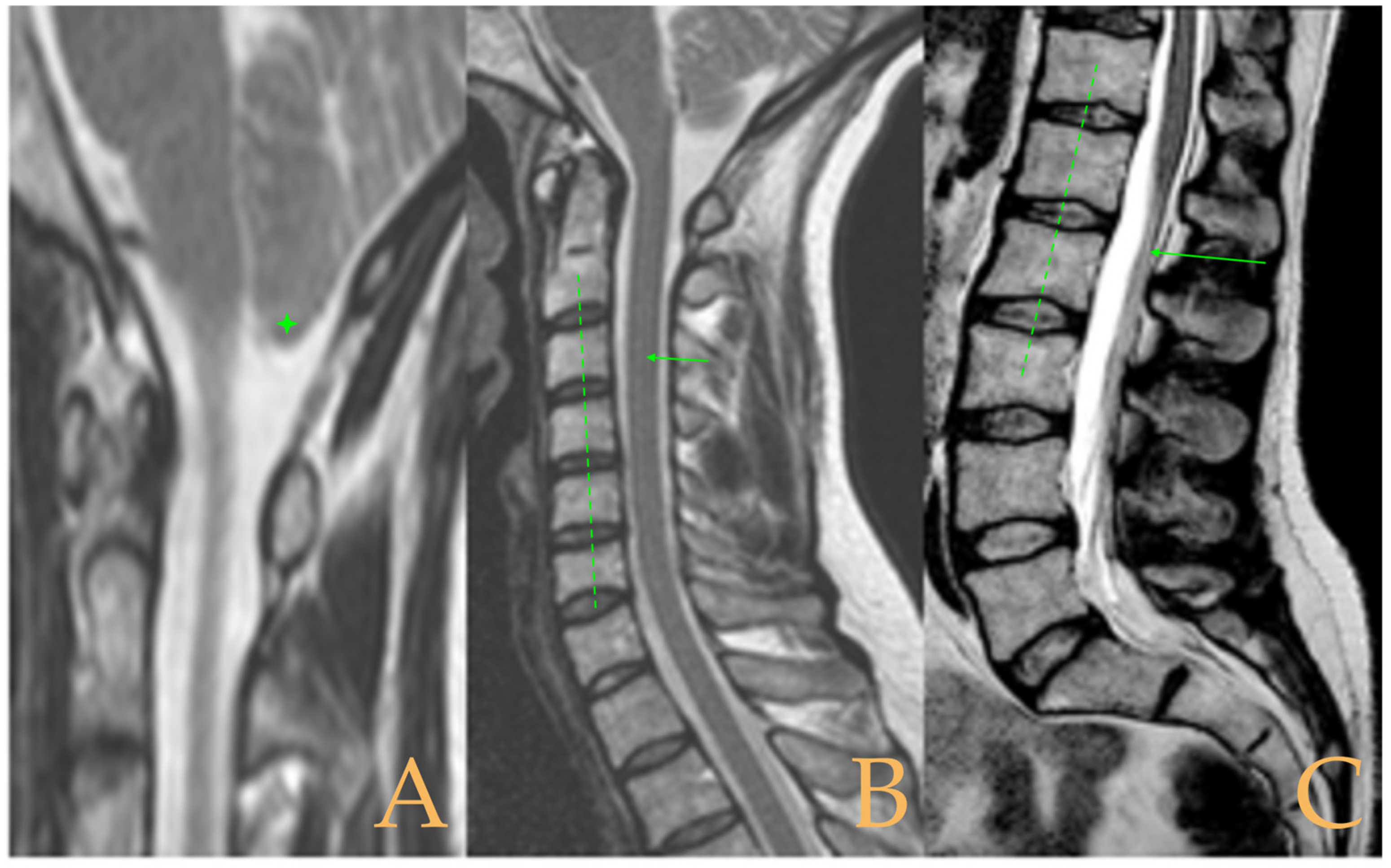 Biomed 05 00012 g007