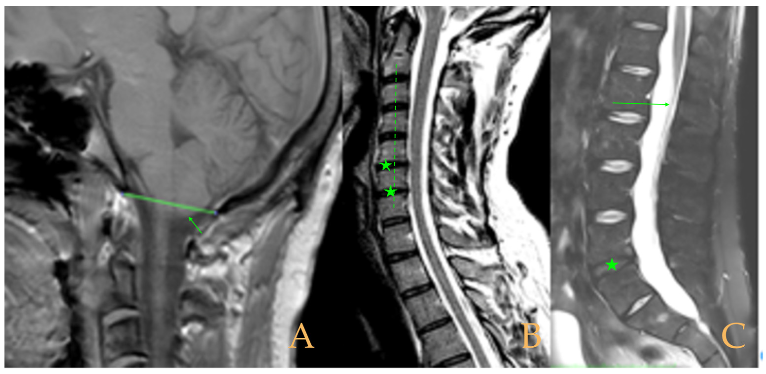 Biomed 05 00012 g008