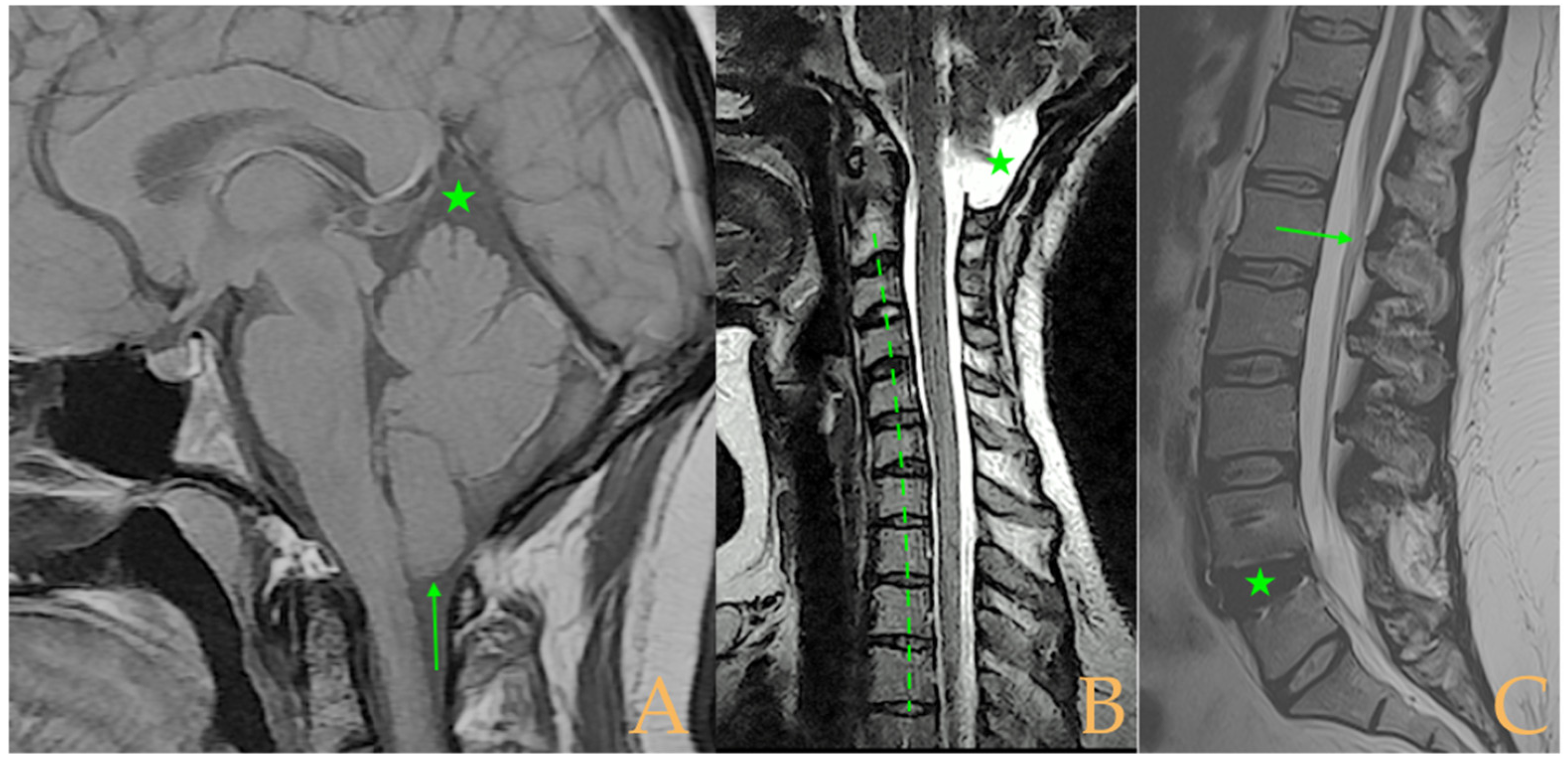 Biomed 05 00012 g009