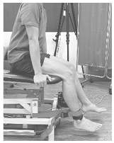 Biomed 05 00023 i003