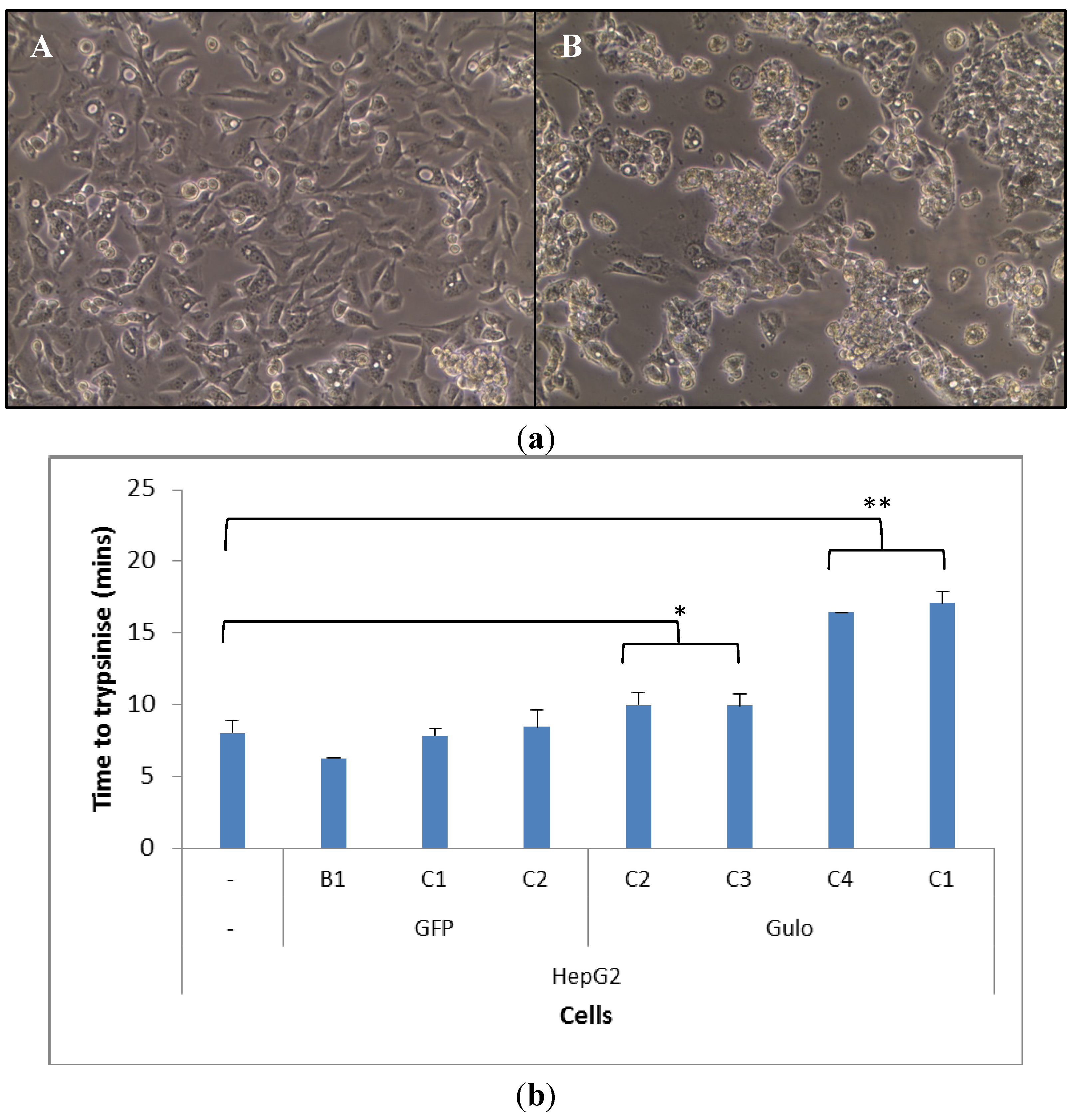 Biomedicines 02 00098 g002