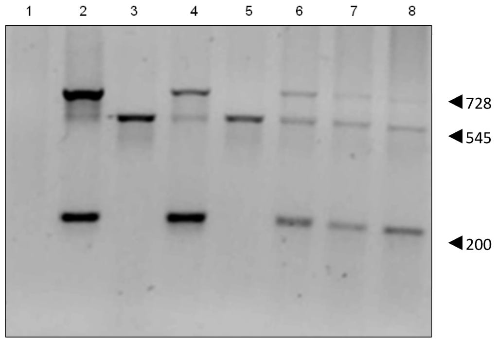 Biomedicines 02 00098 g003 1024