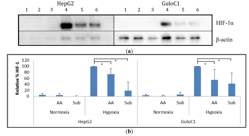 Biomedicines 02 00098 g005 1024