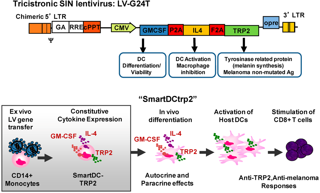 Biomedicines 02 00229 g002 1024