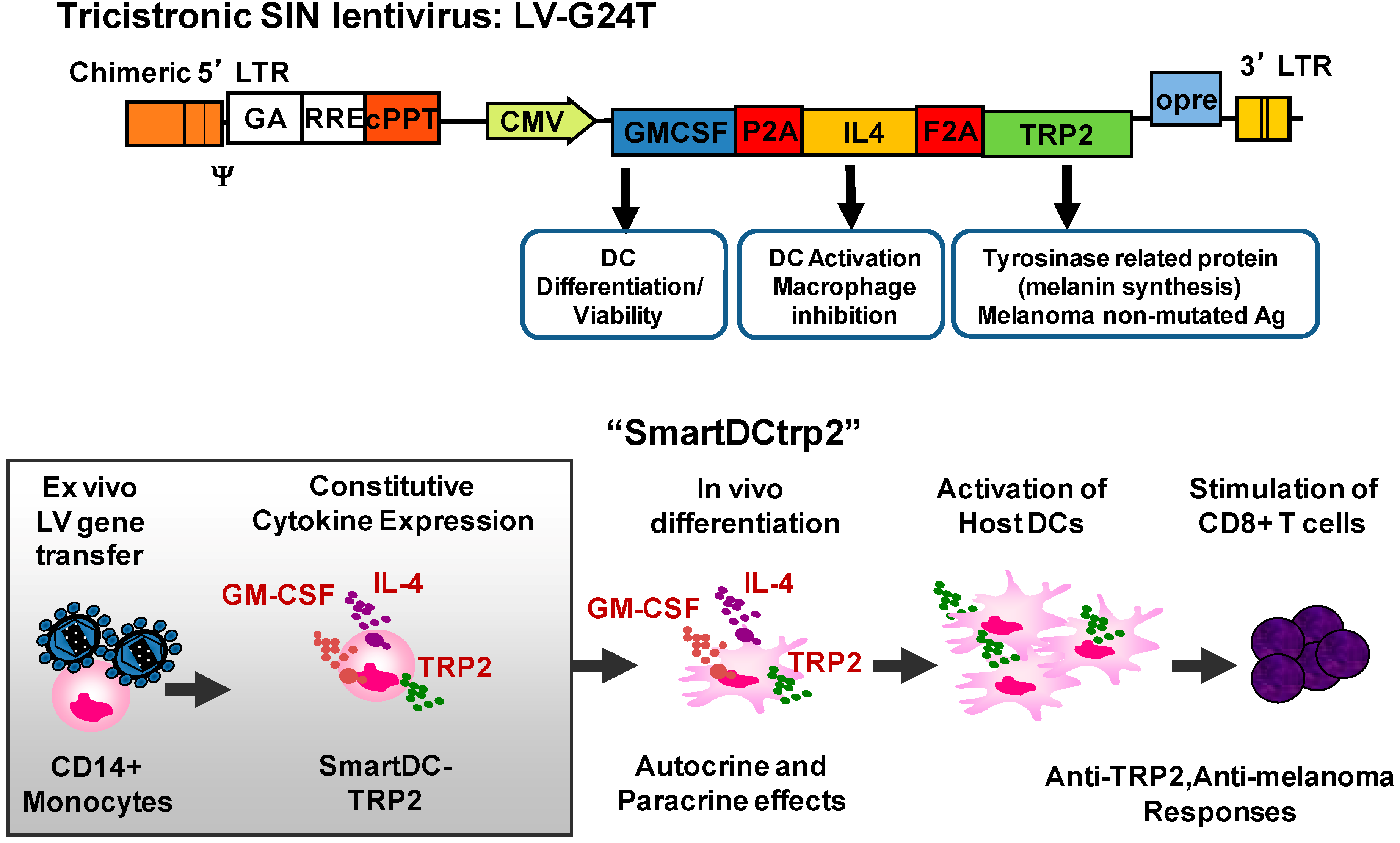 Biomedicines 02 00229 g002