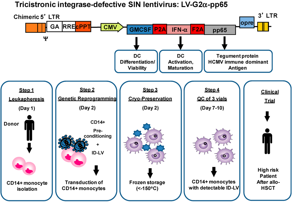 Biomedicines 02 00229 g003 1024
