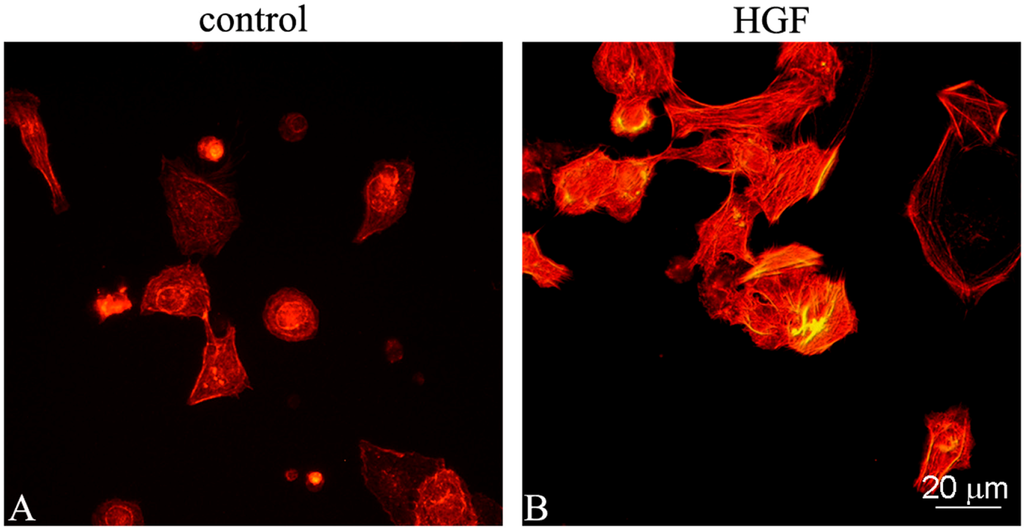 Biomedicines 03 00089 g001 1024