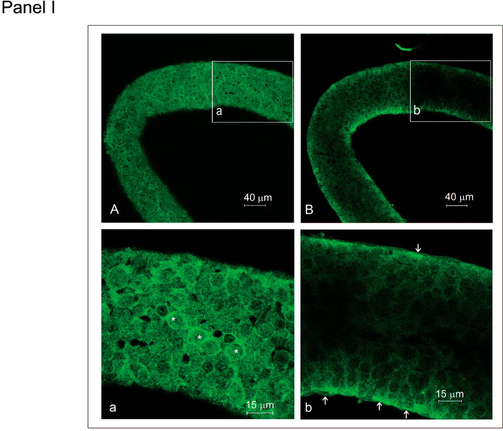 Biomedicines 03 00089 g005a 1024