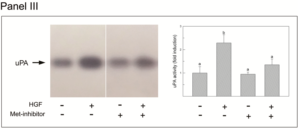 Biomedicines 03 00089 g006b 1024