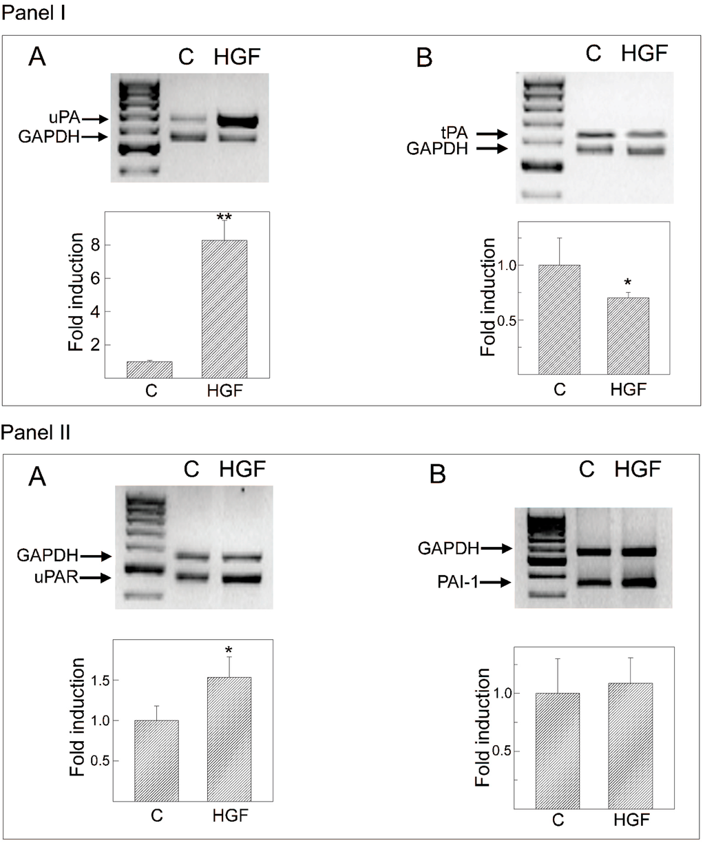Biomedicines 03 00089 g007 1024