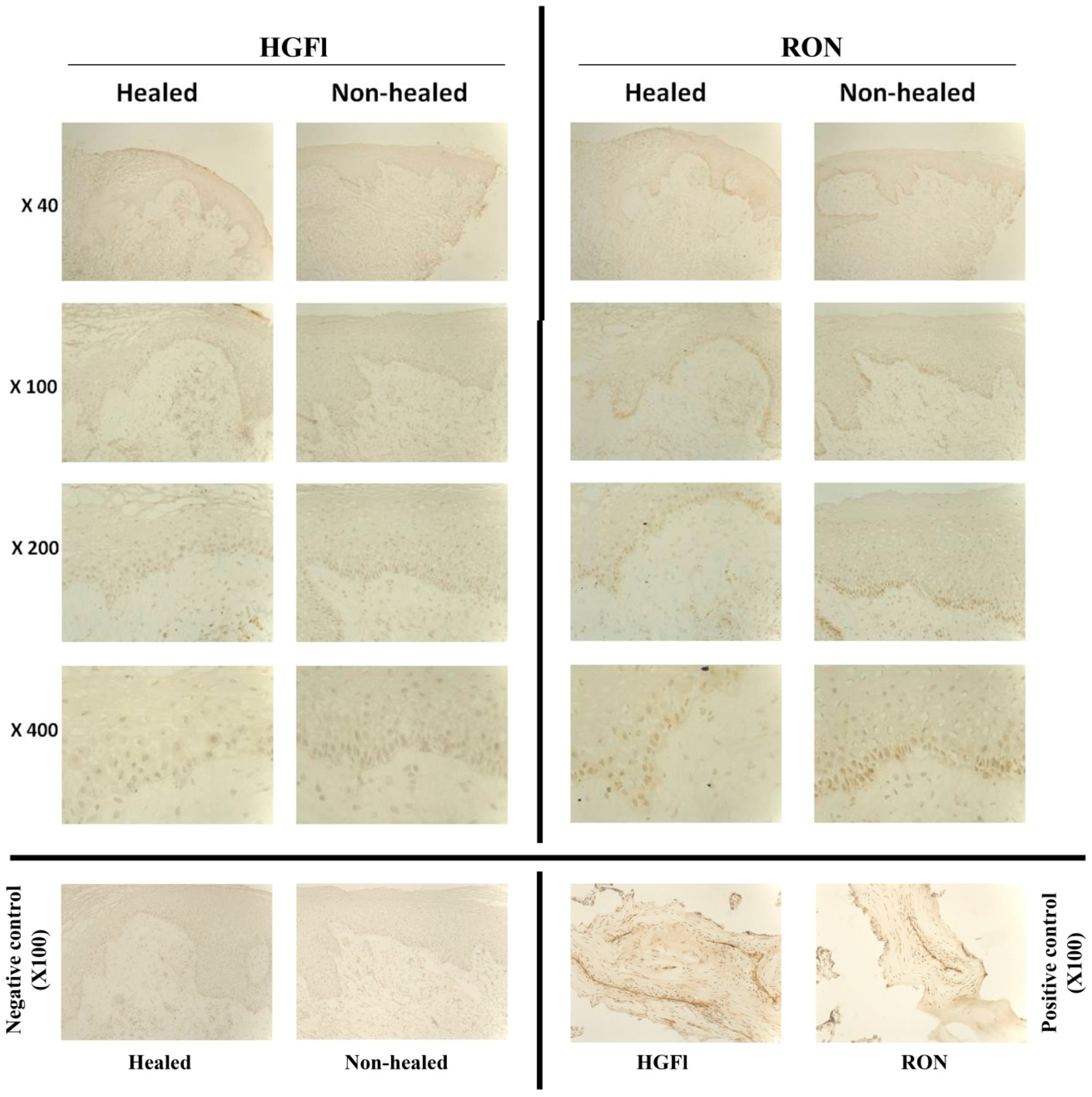 Biomedicines 03 00110 g002