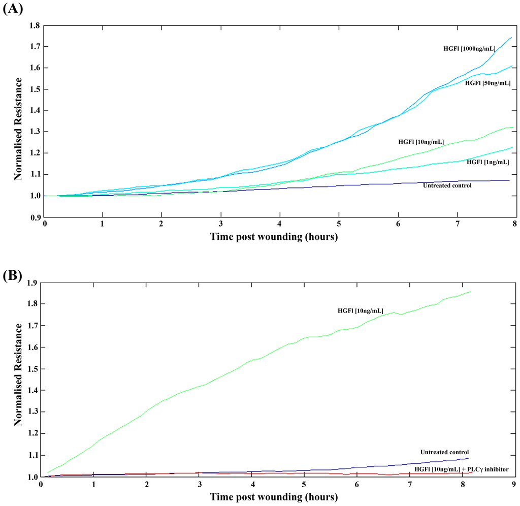 Biomedicines 03 00110 g004 1024