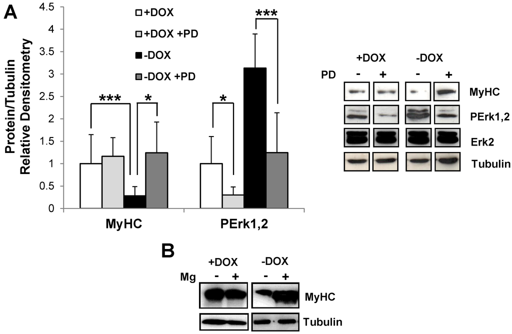 Biomedicines 03 00124 g003a 1024