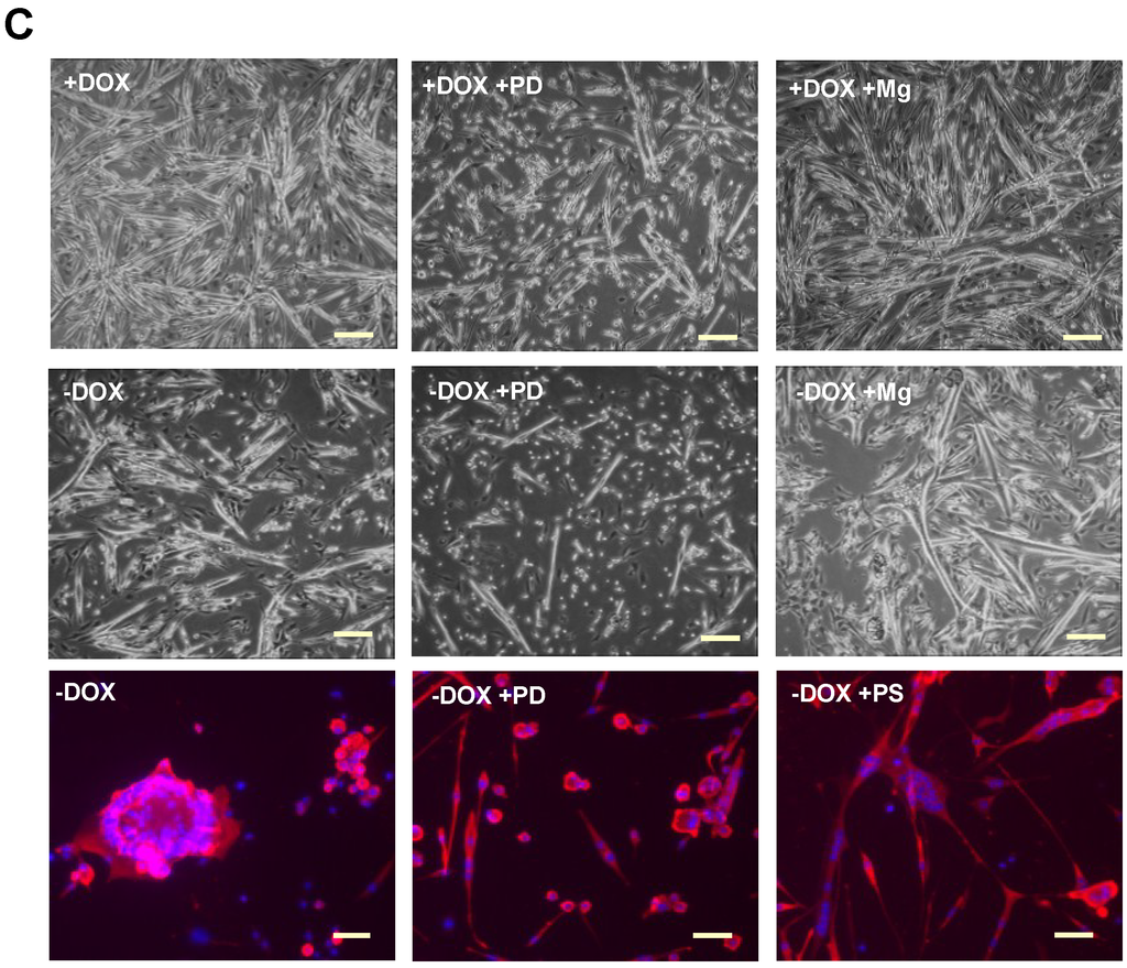 Biomedicines 03 00124 g003b 1024