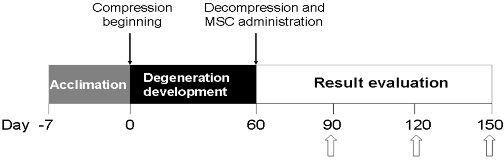 Biomedicines 03 00237 g001 1024