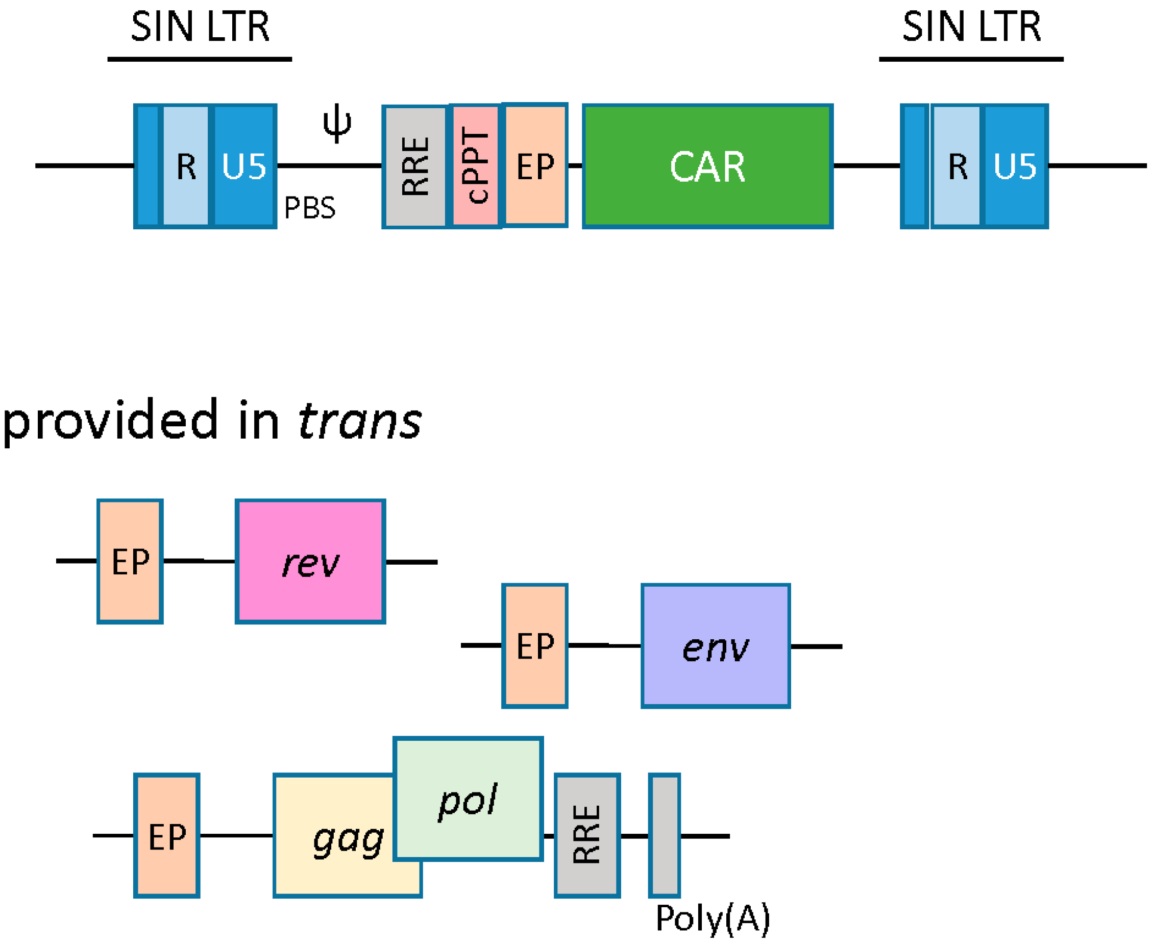 Biomedicines 04 00009 g003