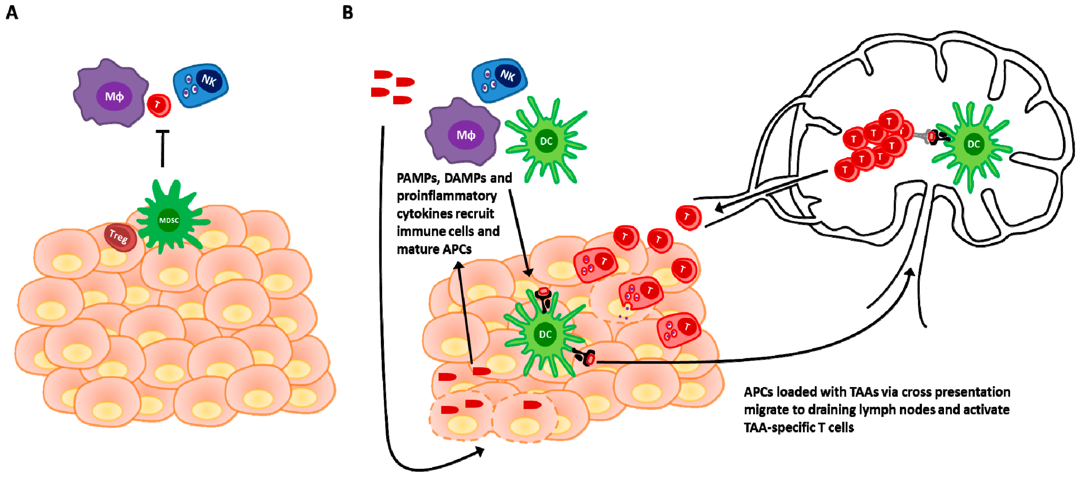 Biomedicines 04 00021 g001