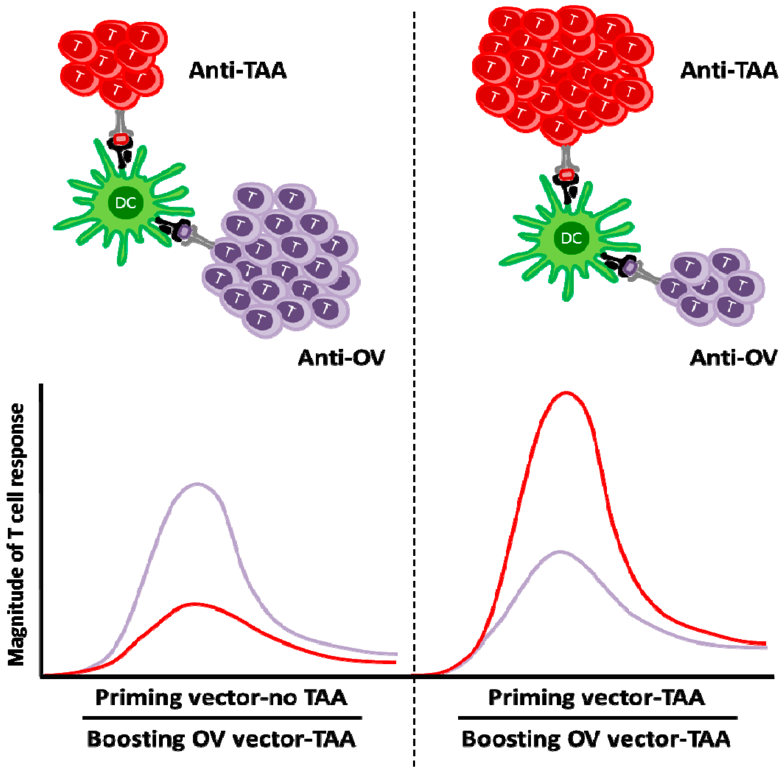 Biomedicines 04 00021 g002