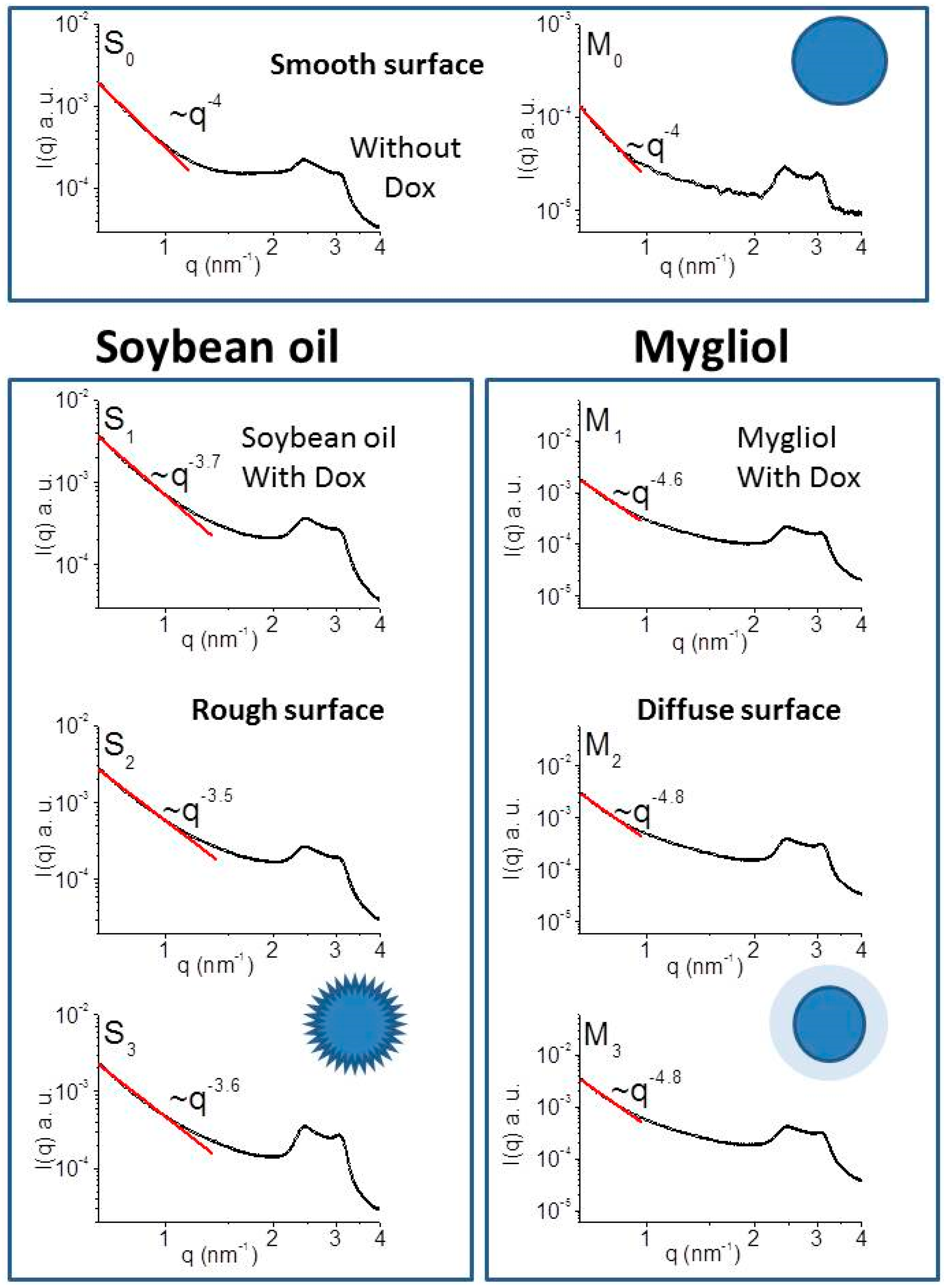 Biomedicines 04 00022 g006